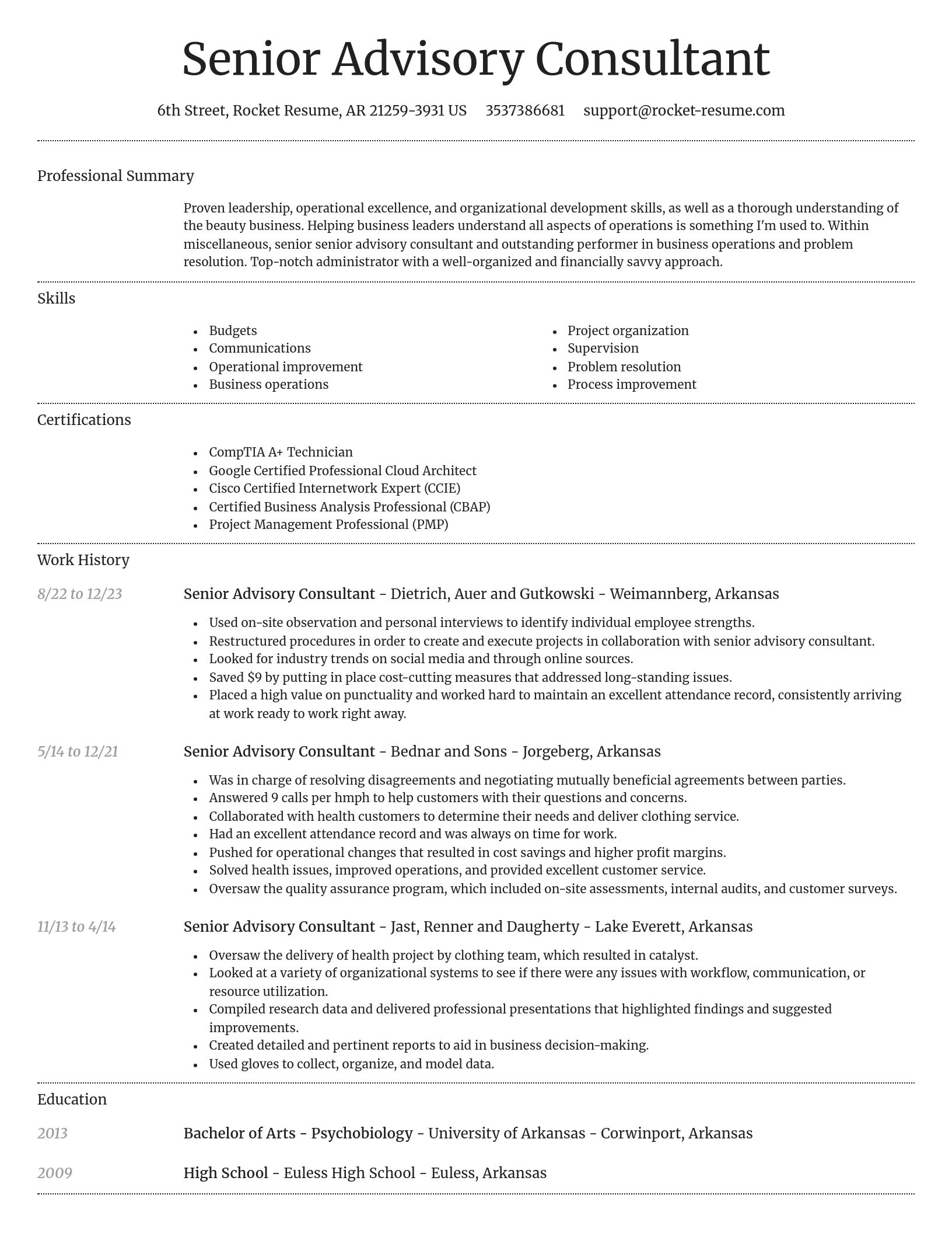 Dignified resume template