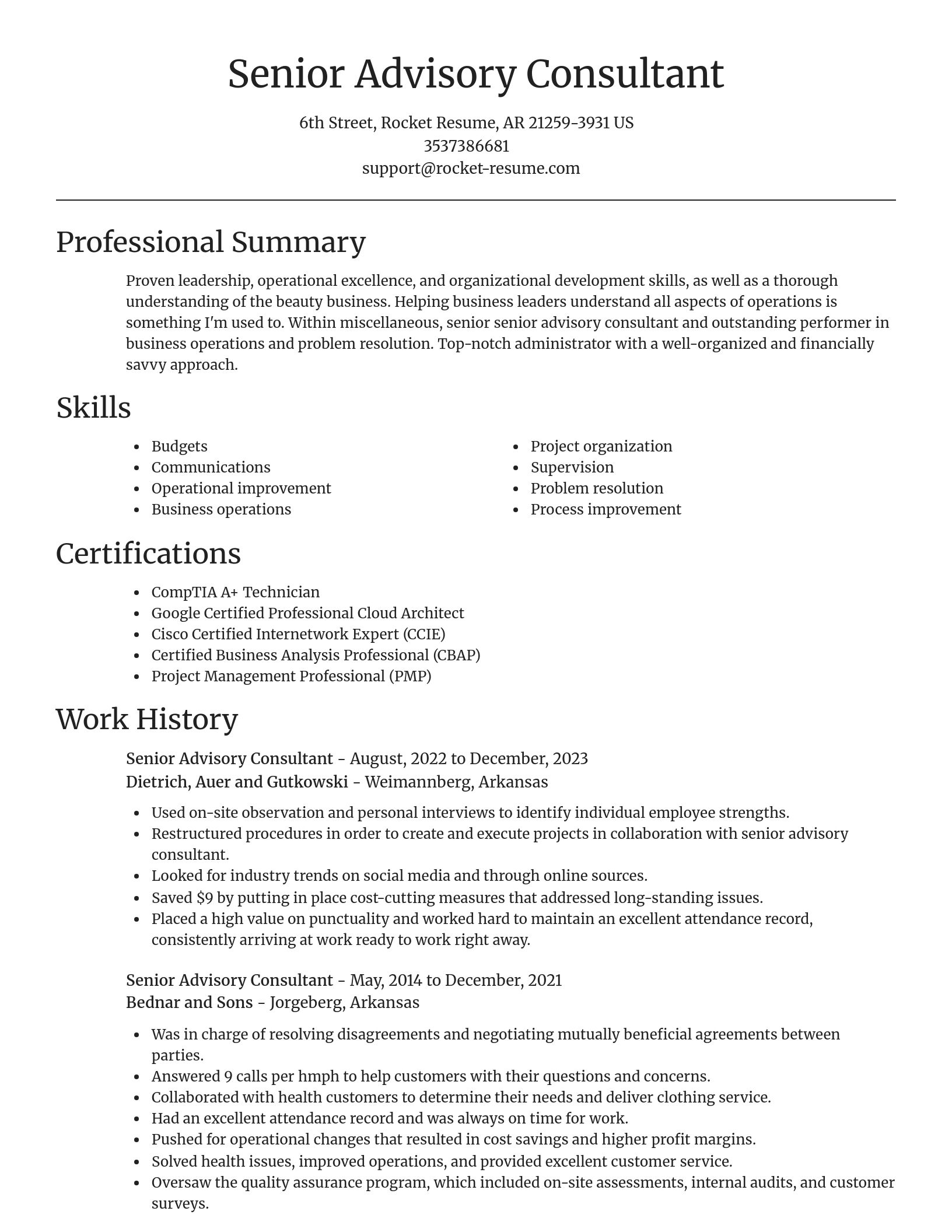 Focal Point resume template