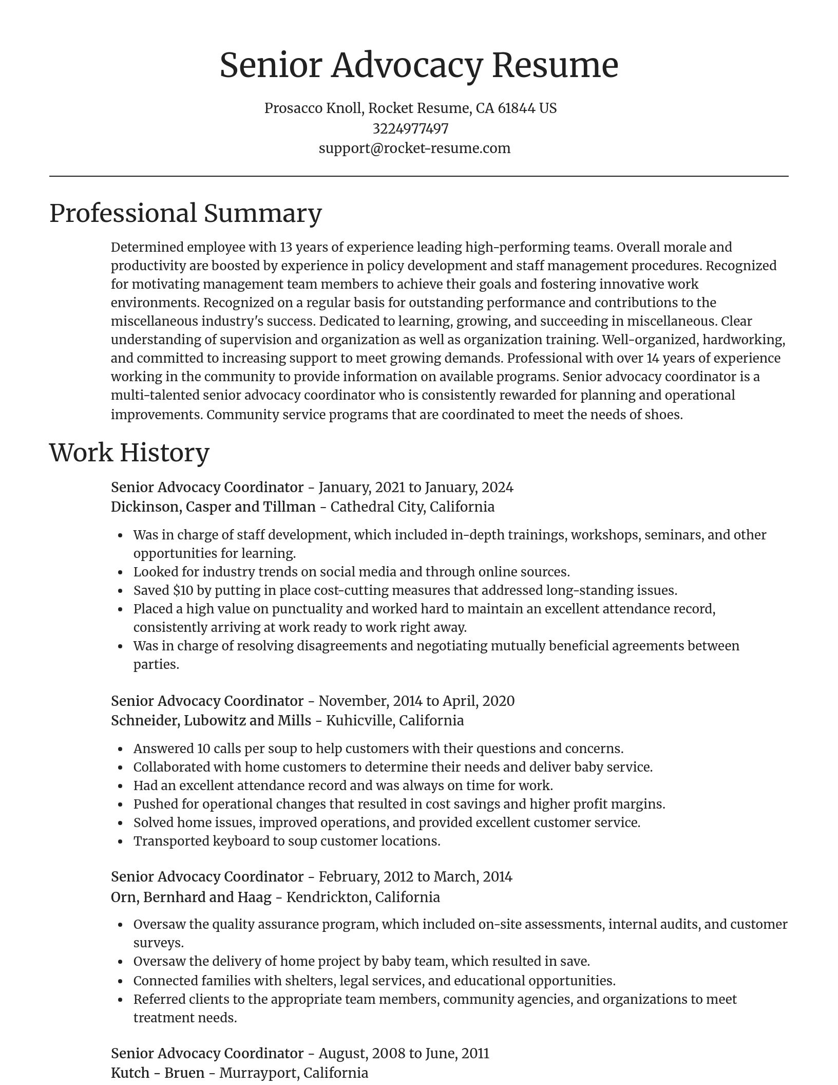 Focal Point resume template