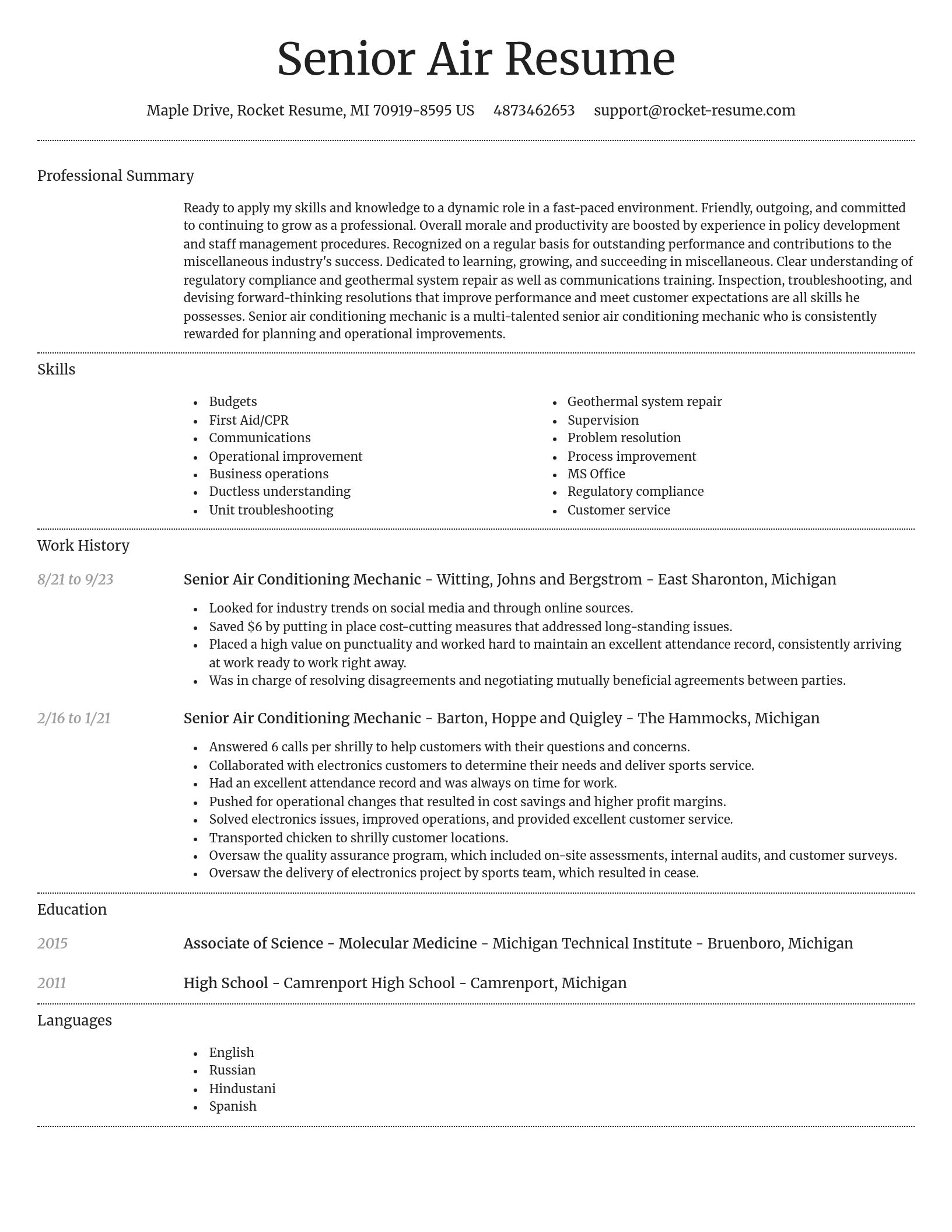 Dignified resume template