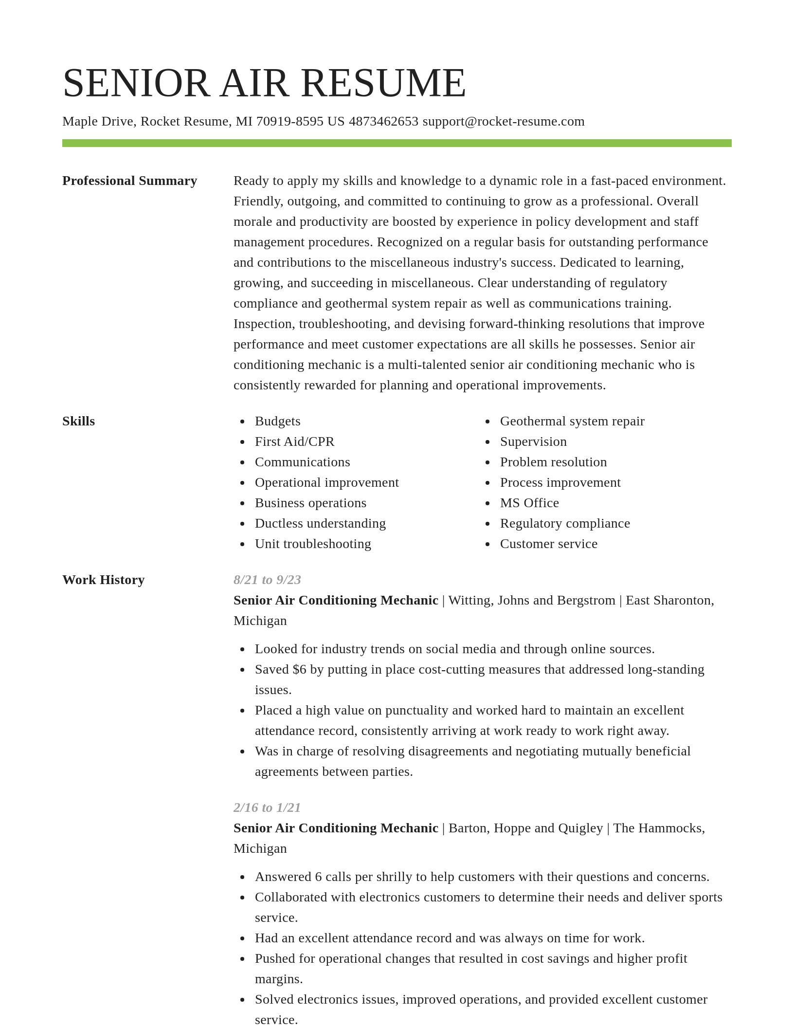 Smart resume template