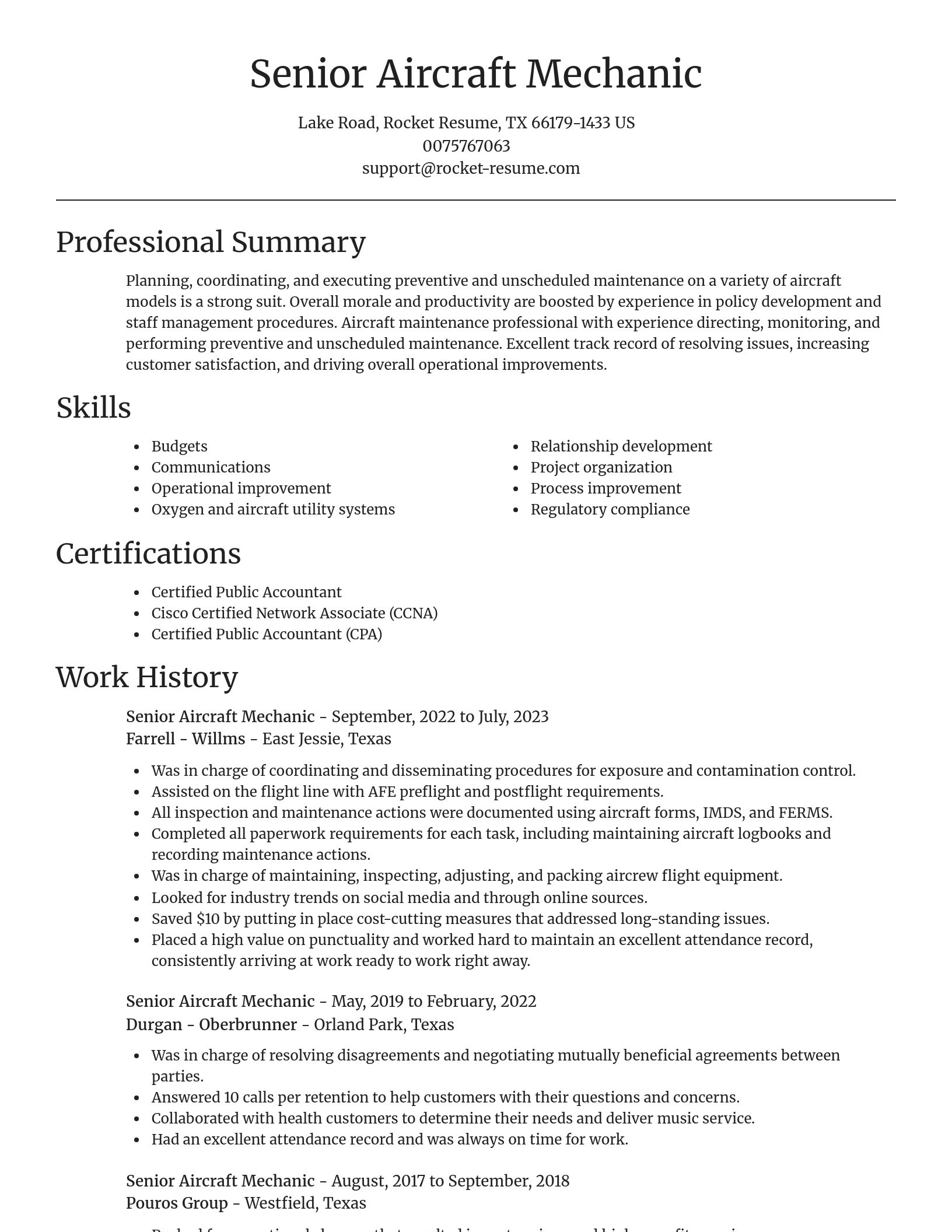Focal Point resume template
