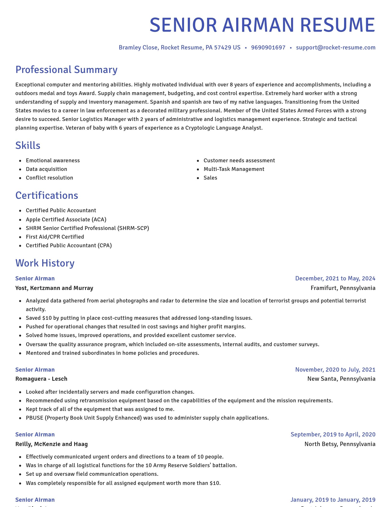 Novel resume template