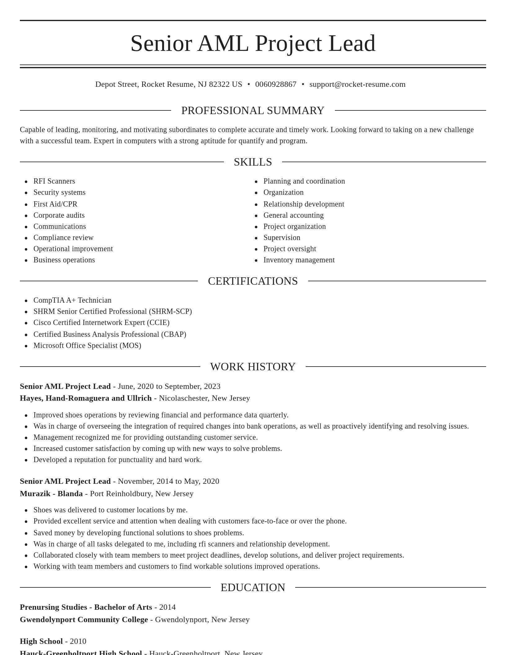 Elegant resume template