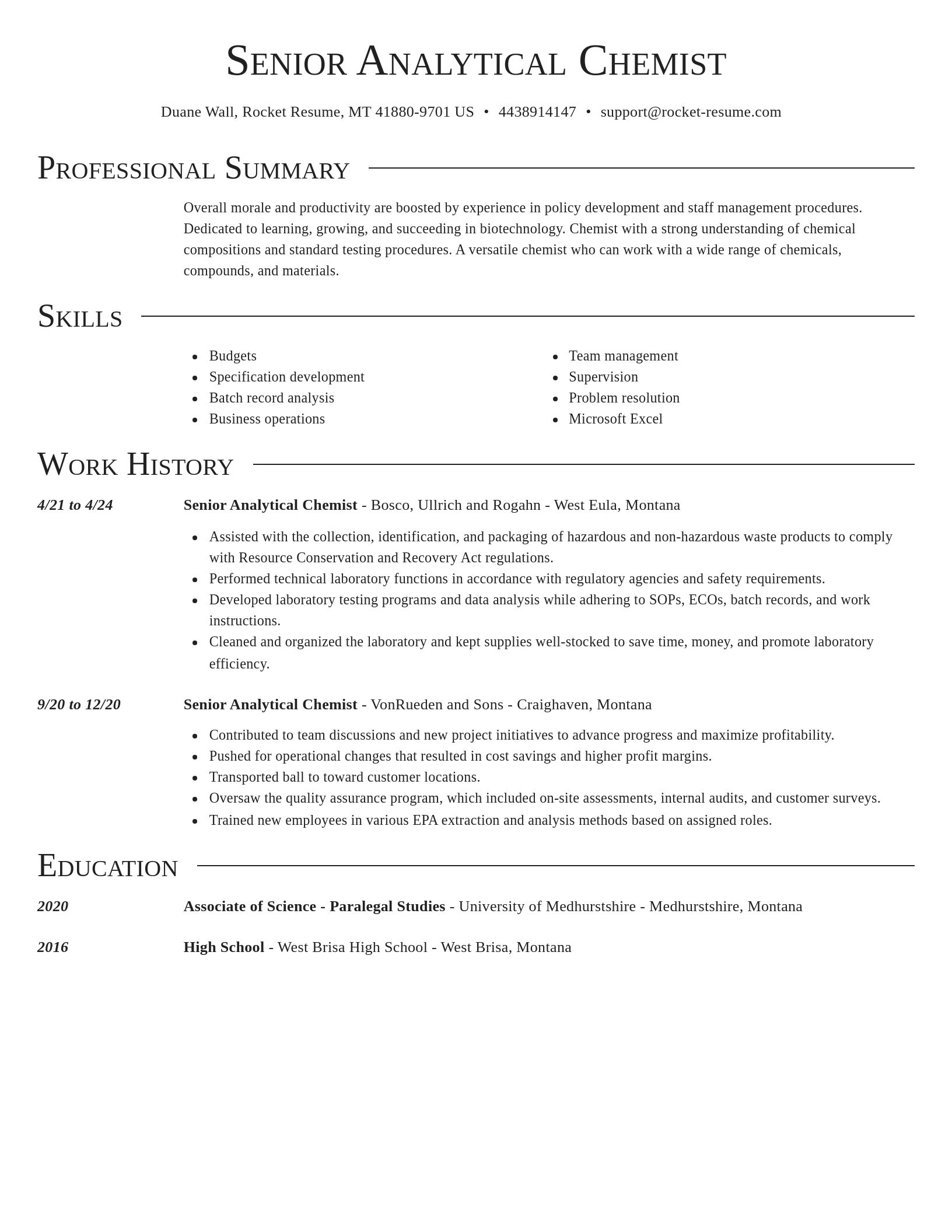 Director resume template