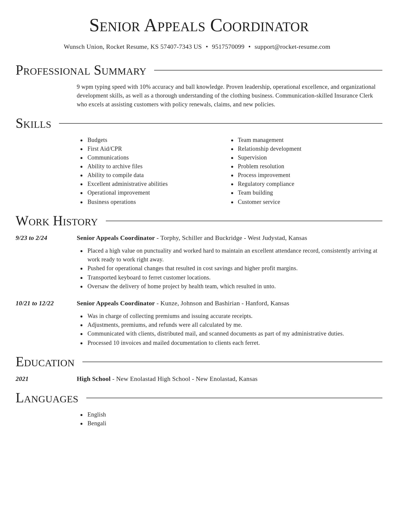 Director resume template