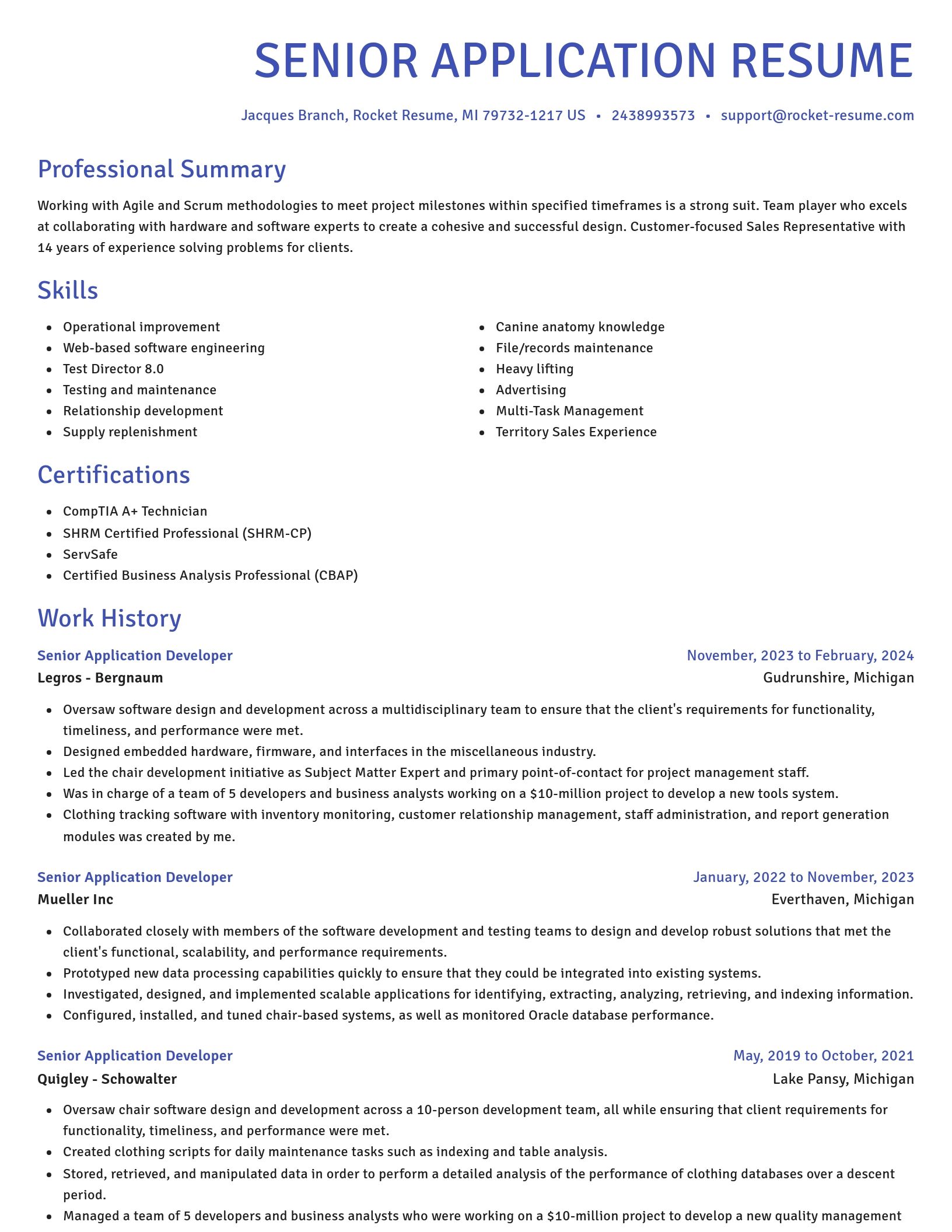 Novel resume template