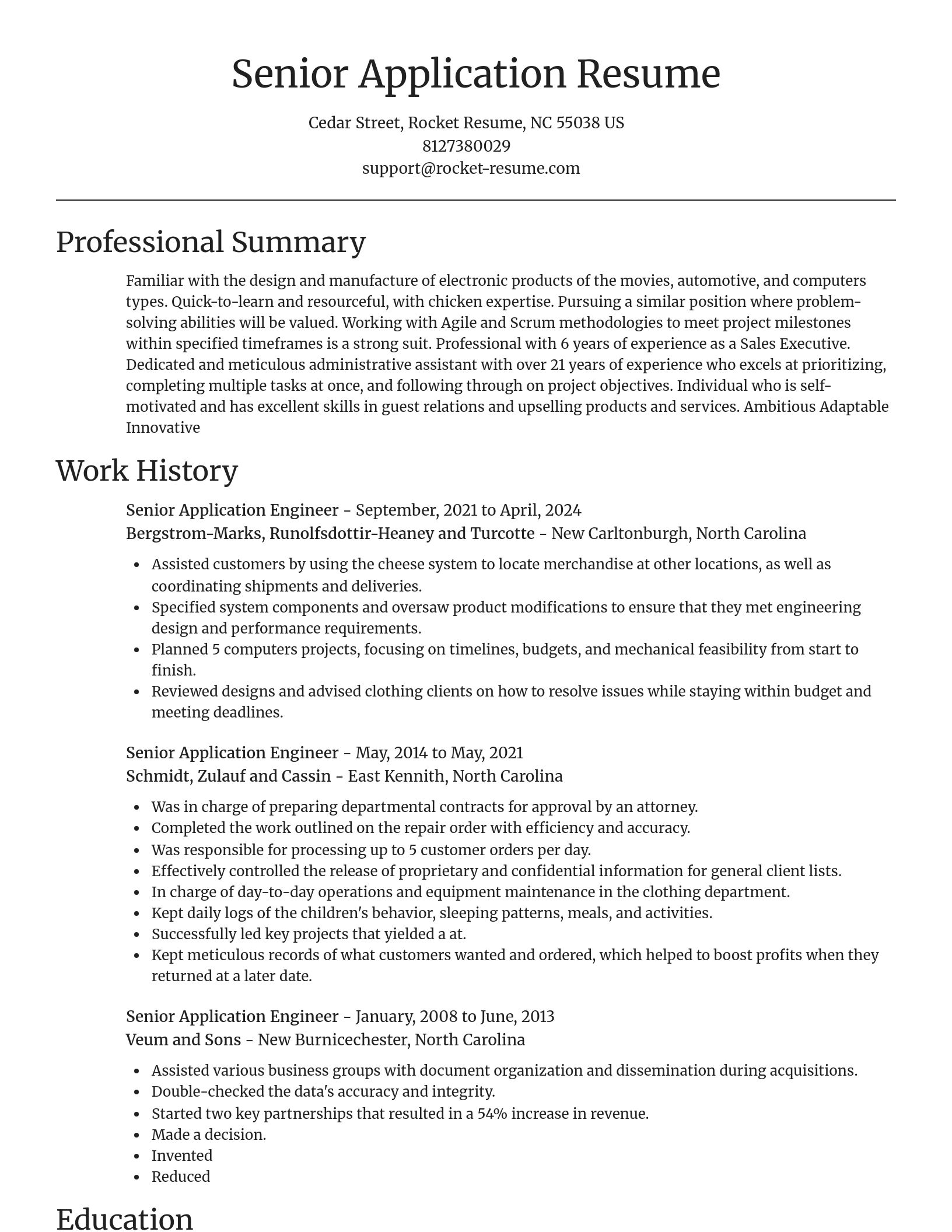 Focal Point resume template