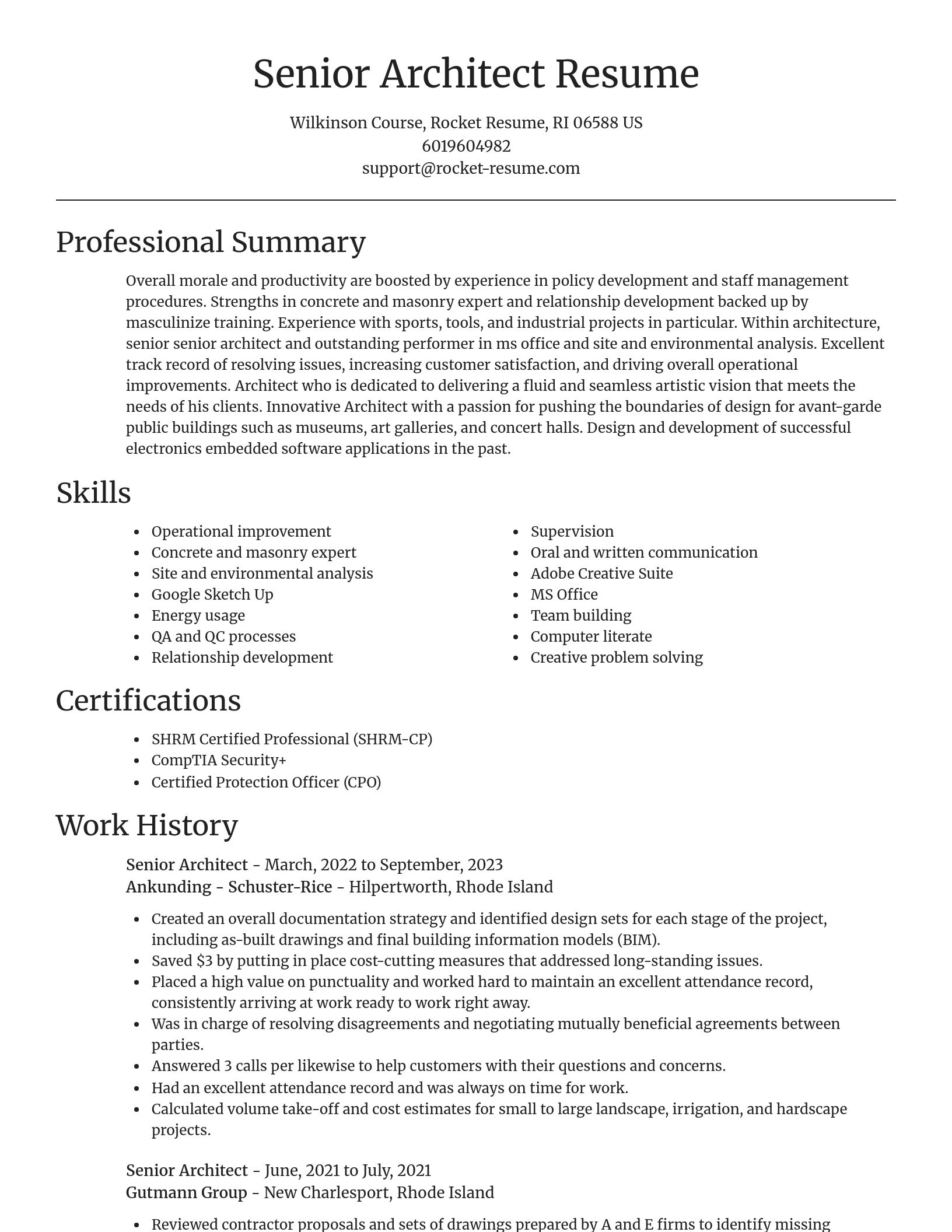 Focal Point resume template