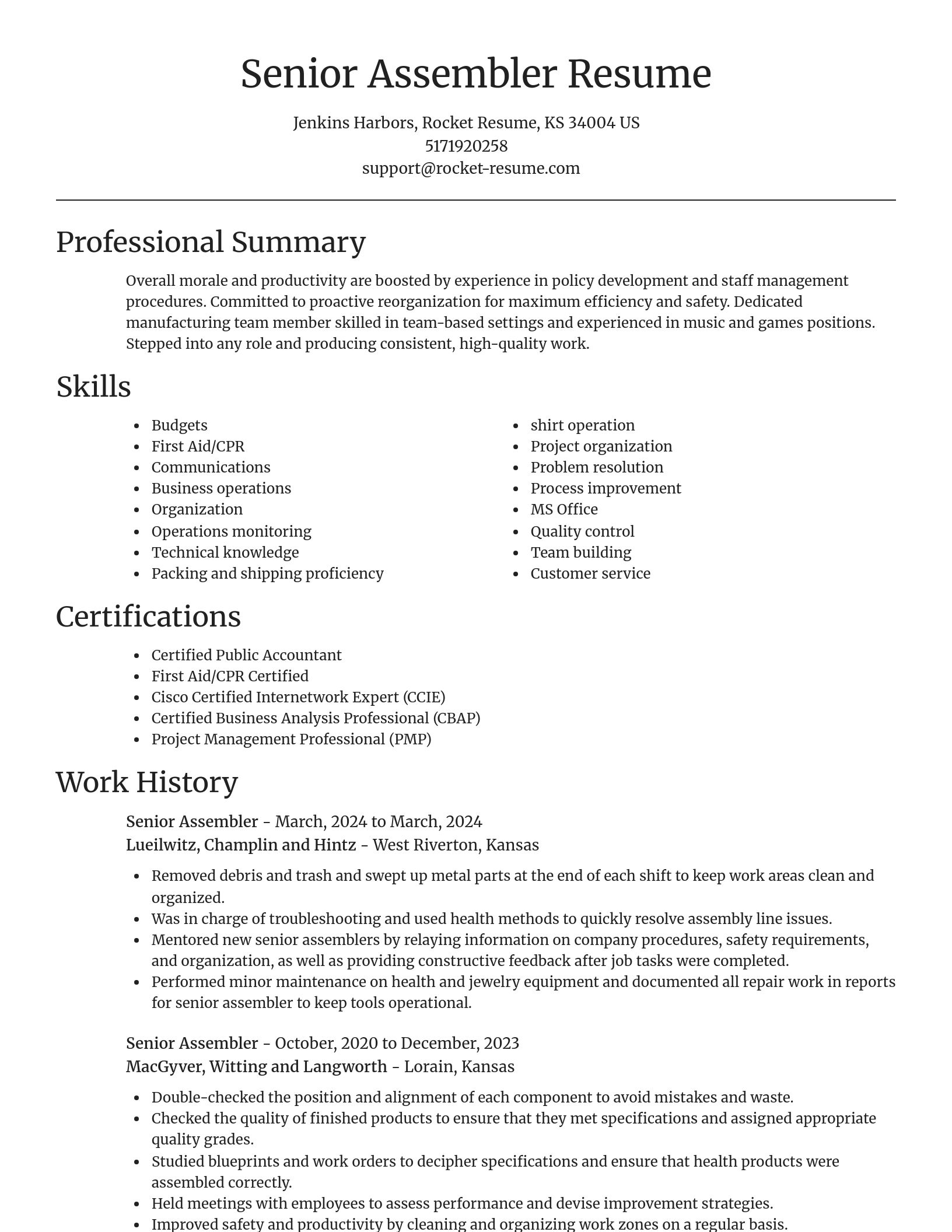 Focal Point resume template