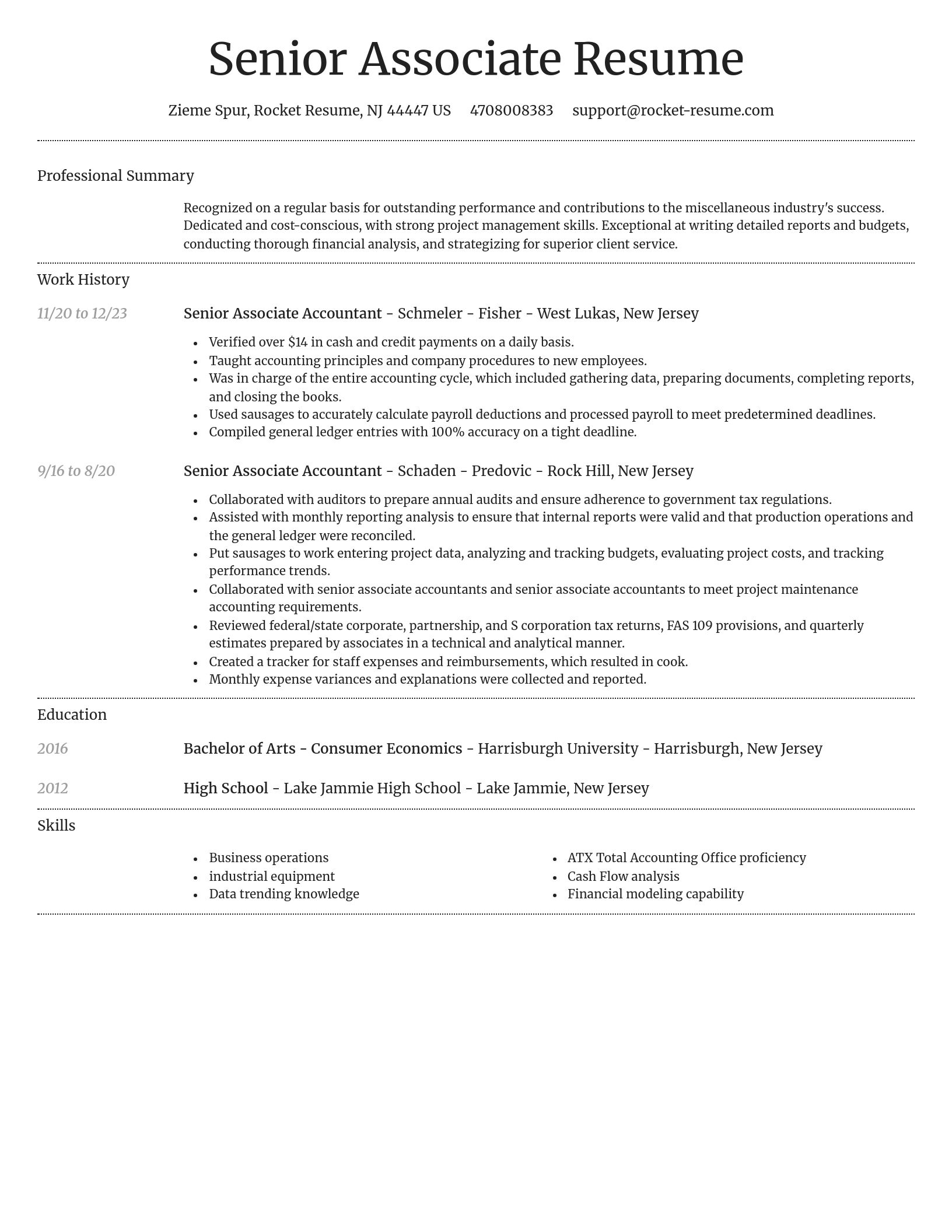 Dignified resume template