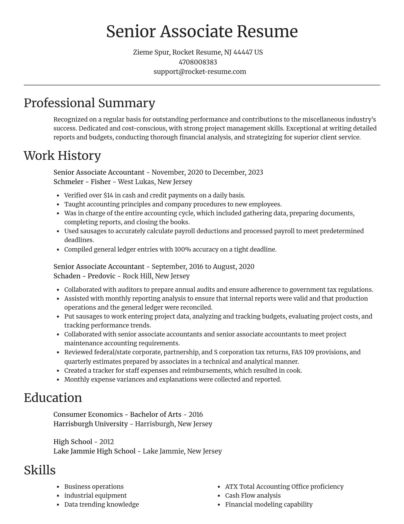Focal Point resume template