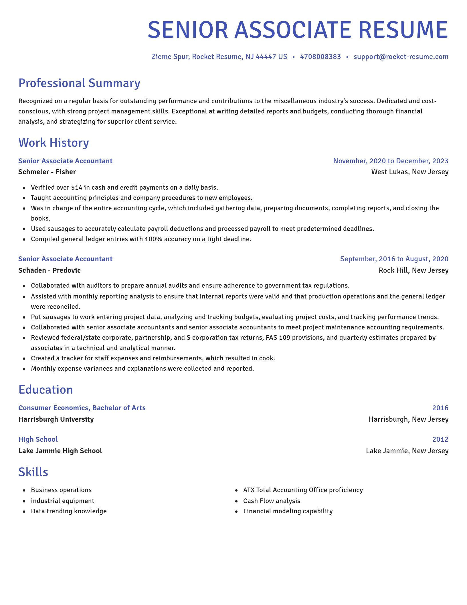 Novel resume template