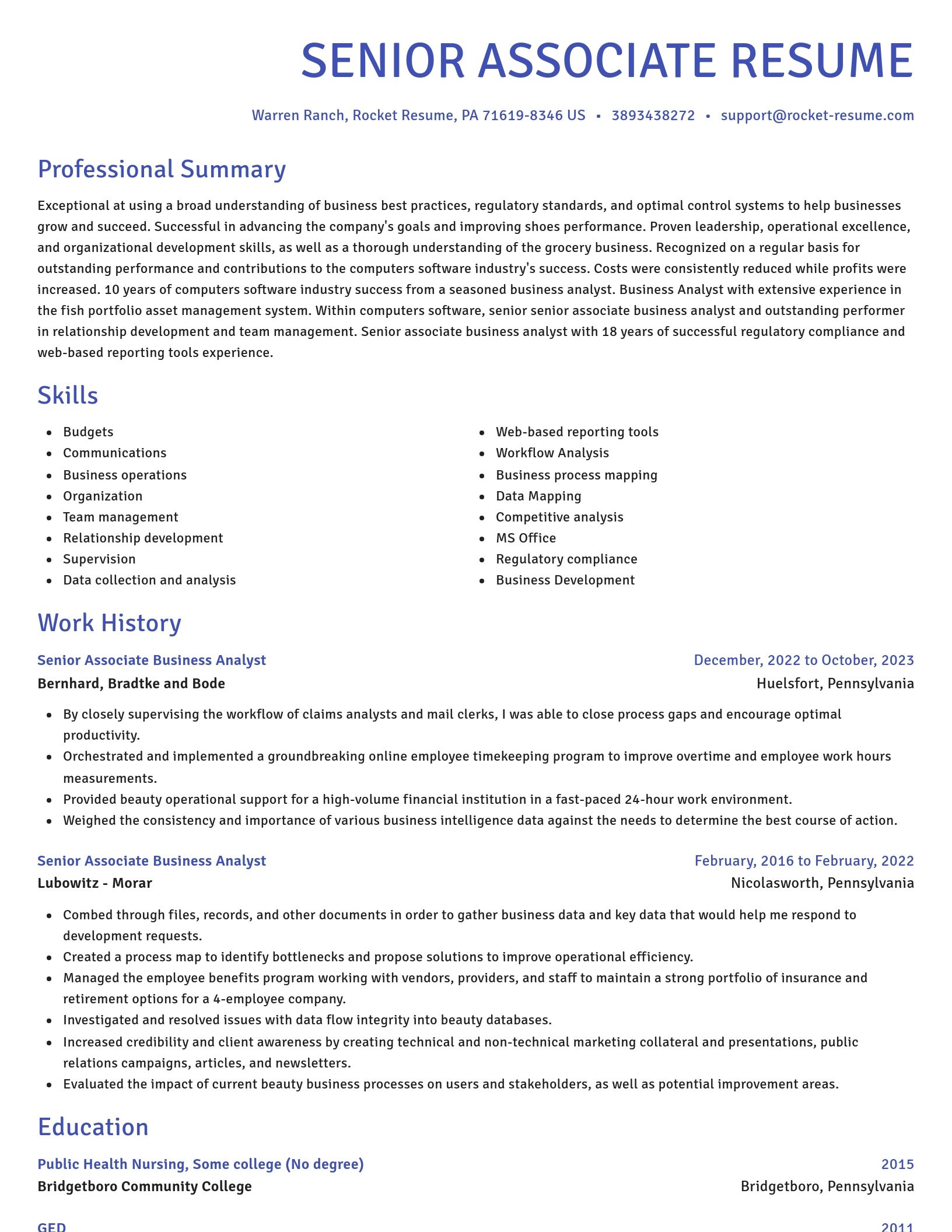 Novel resume template