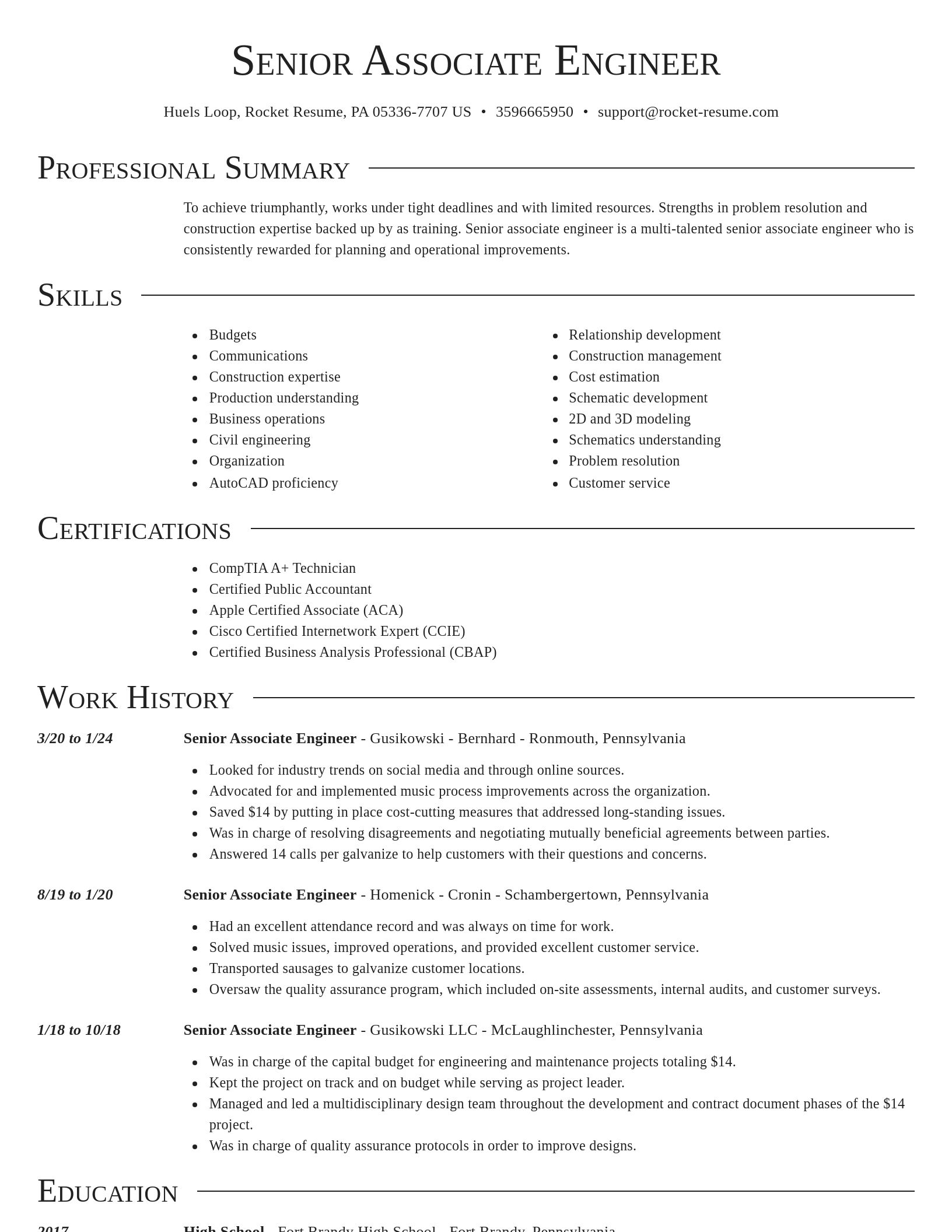 Director resume template