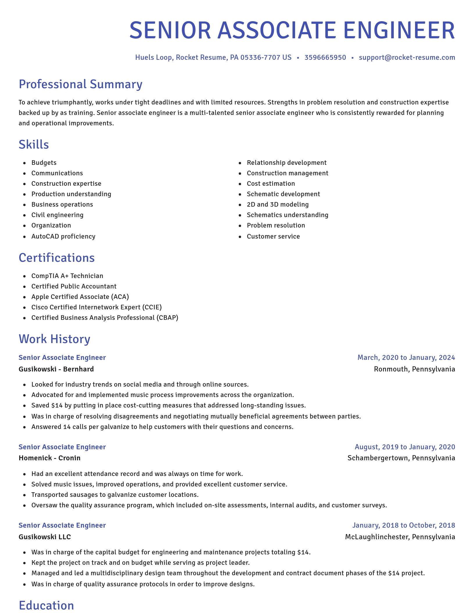 Novel resume template