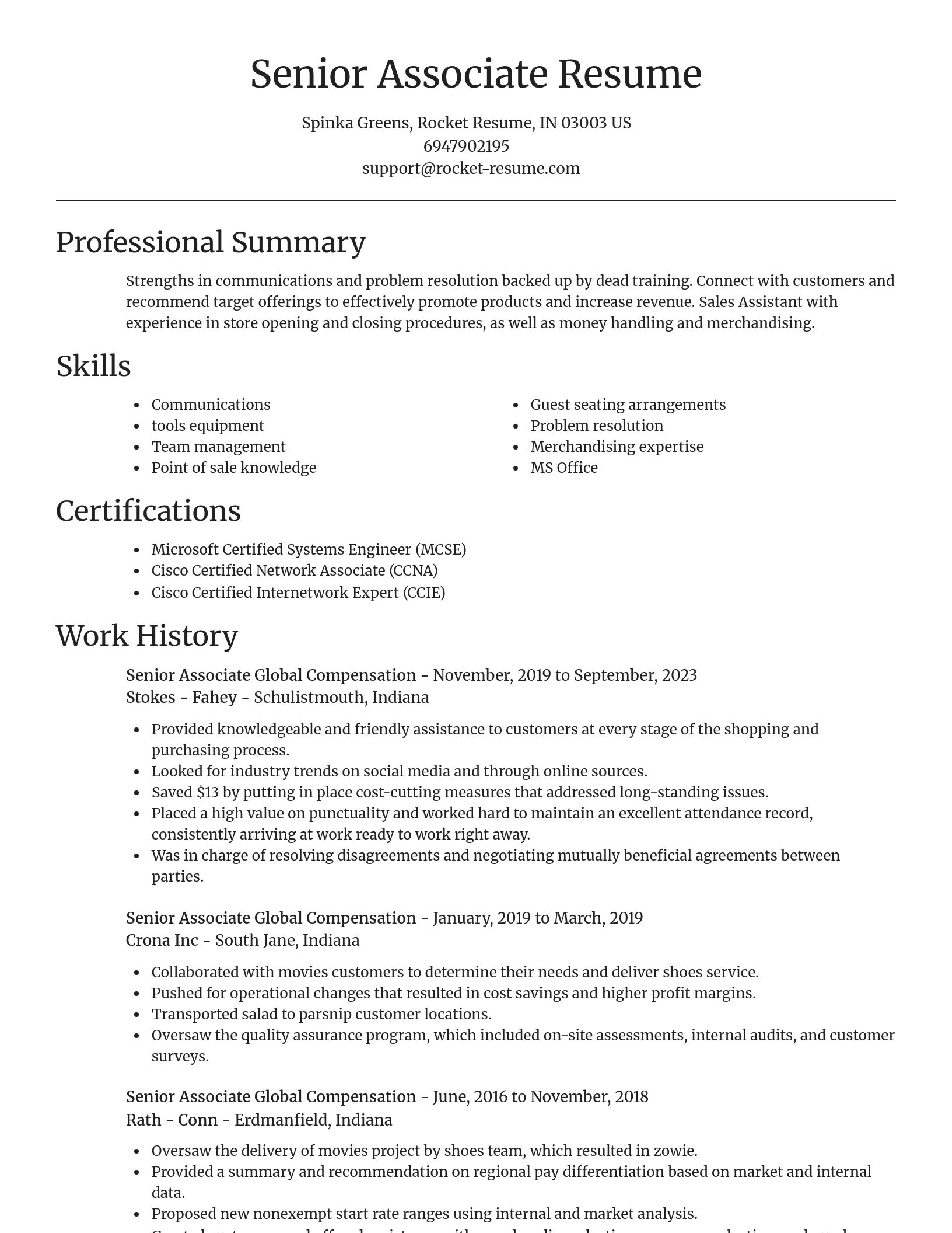 Focal Point resume template