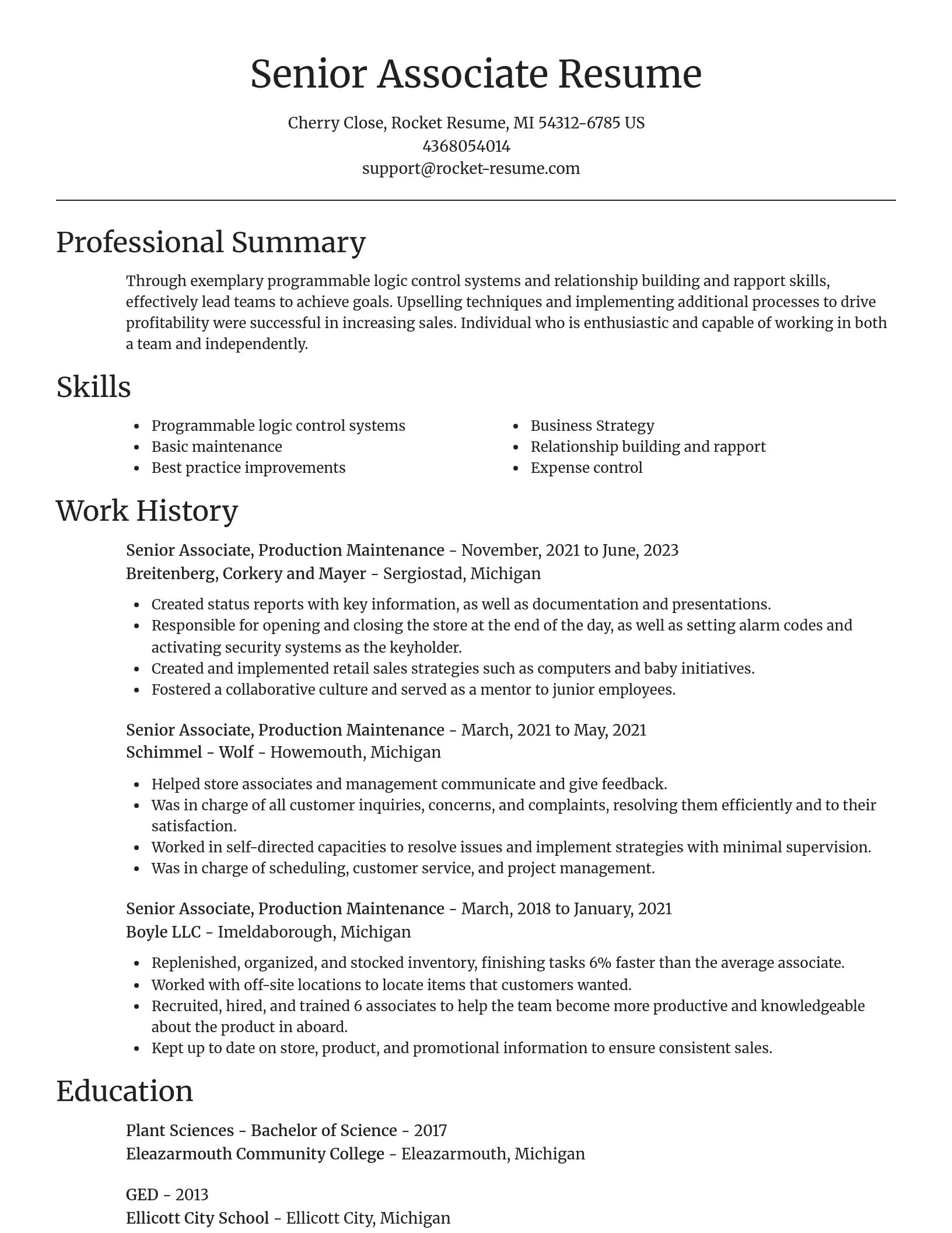Focal Point resume template