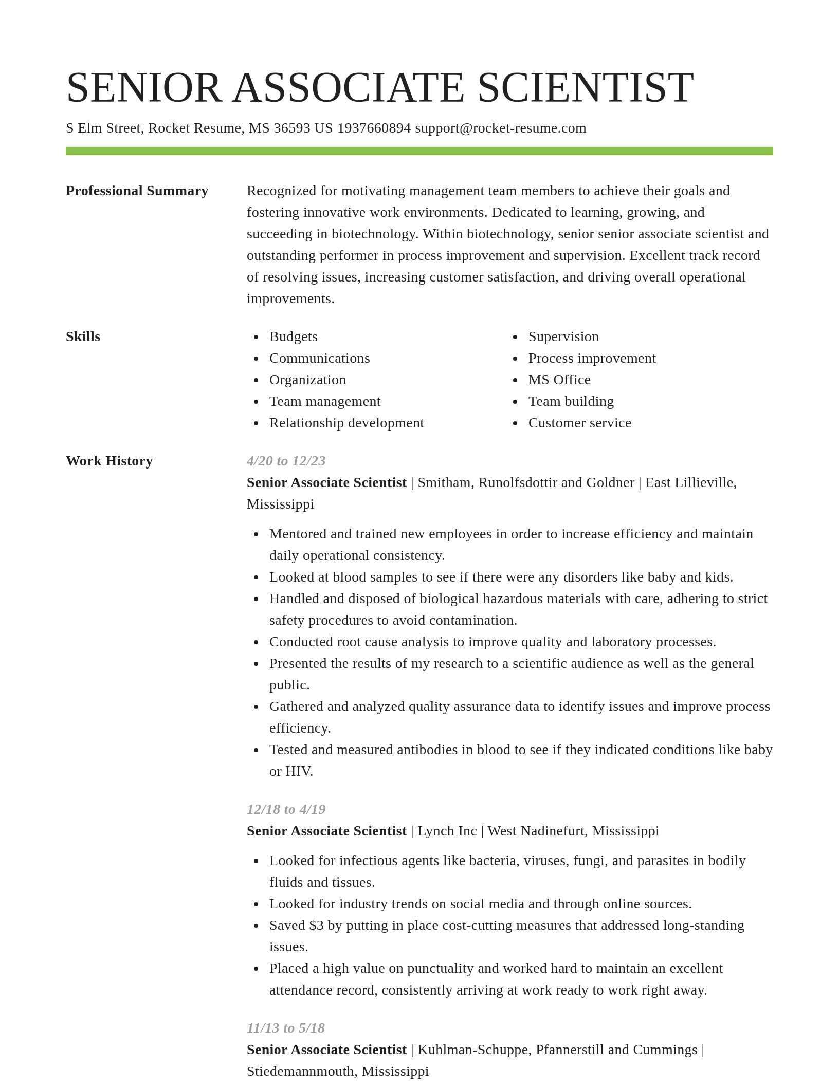 Smart resume template