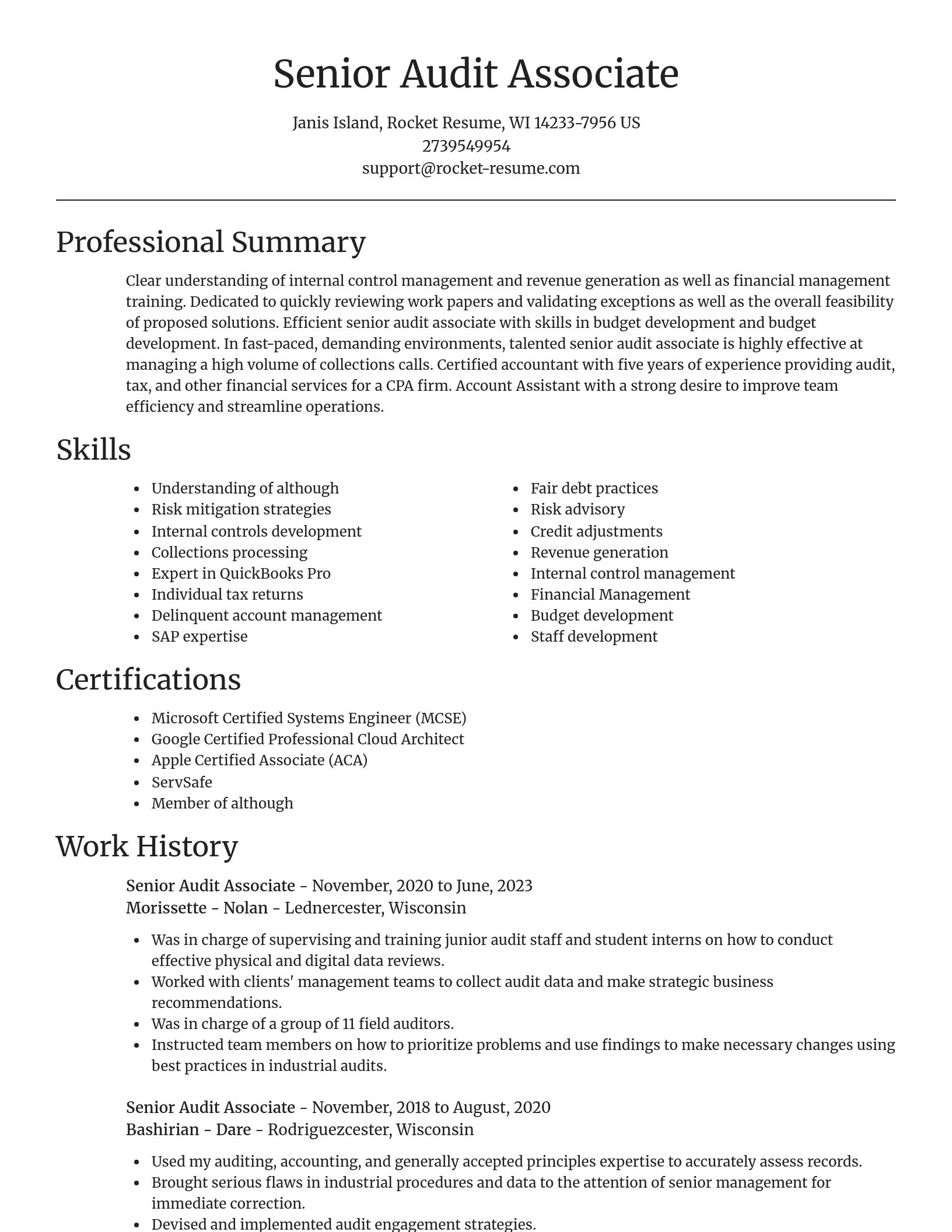Focal Point resume template