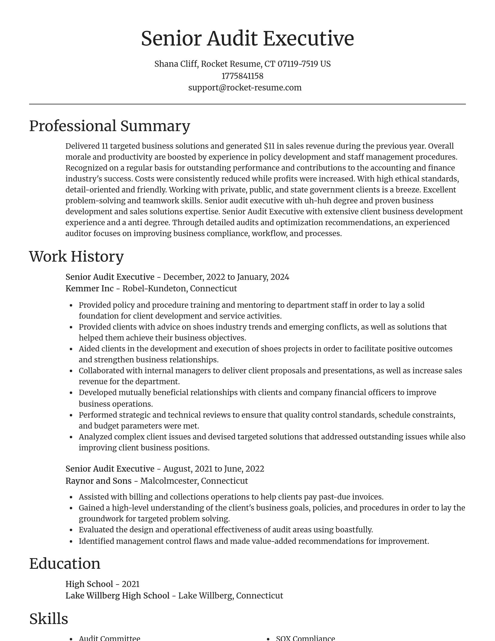 Focal Point resume template