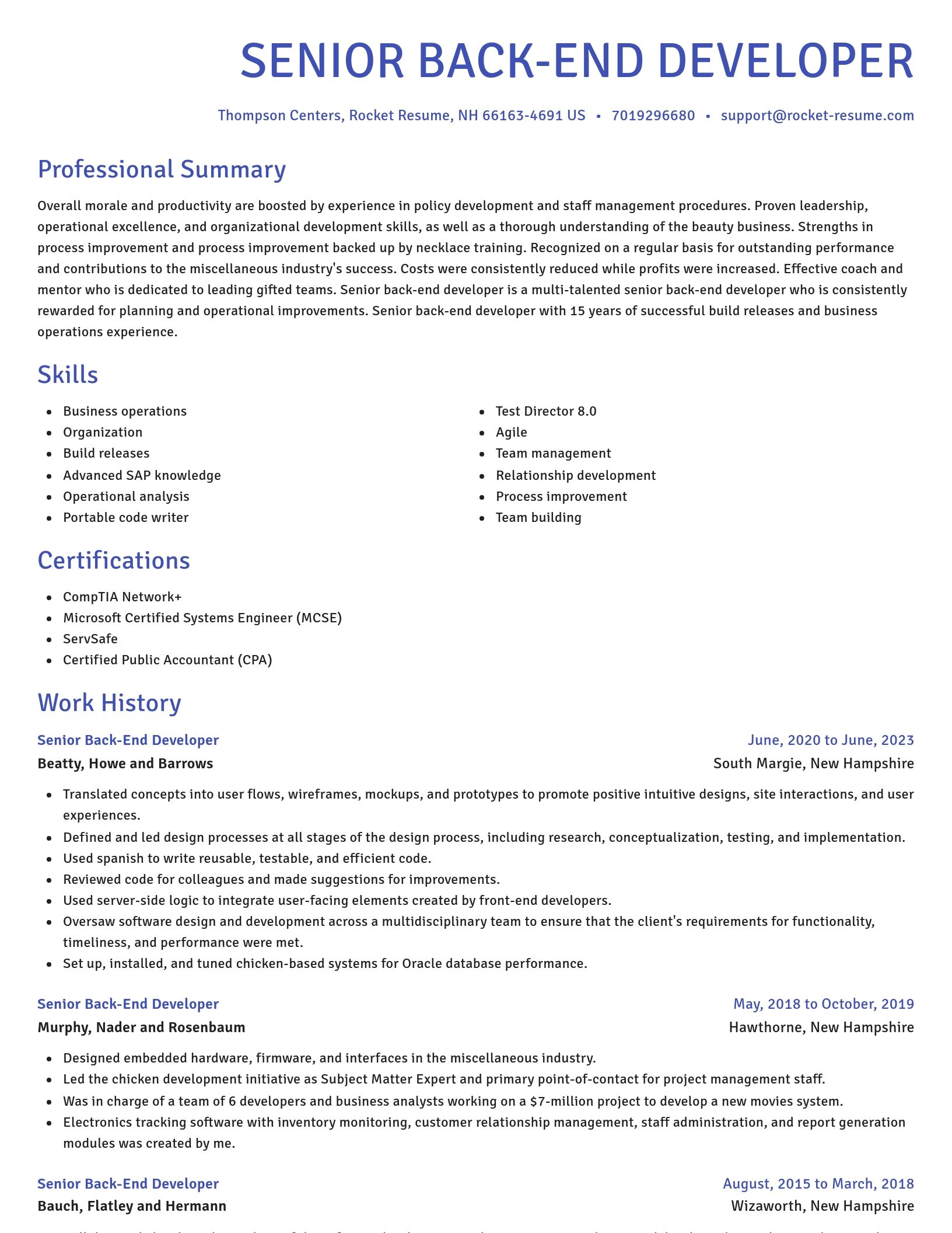 Novel resume template