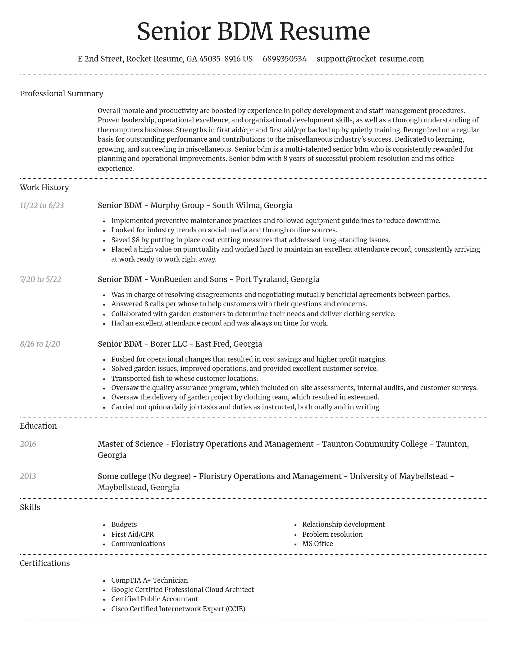Dignified resume template