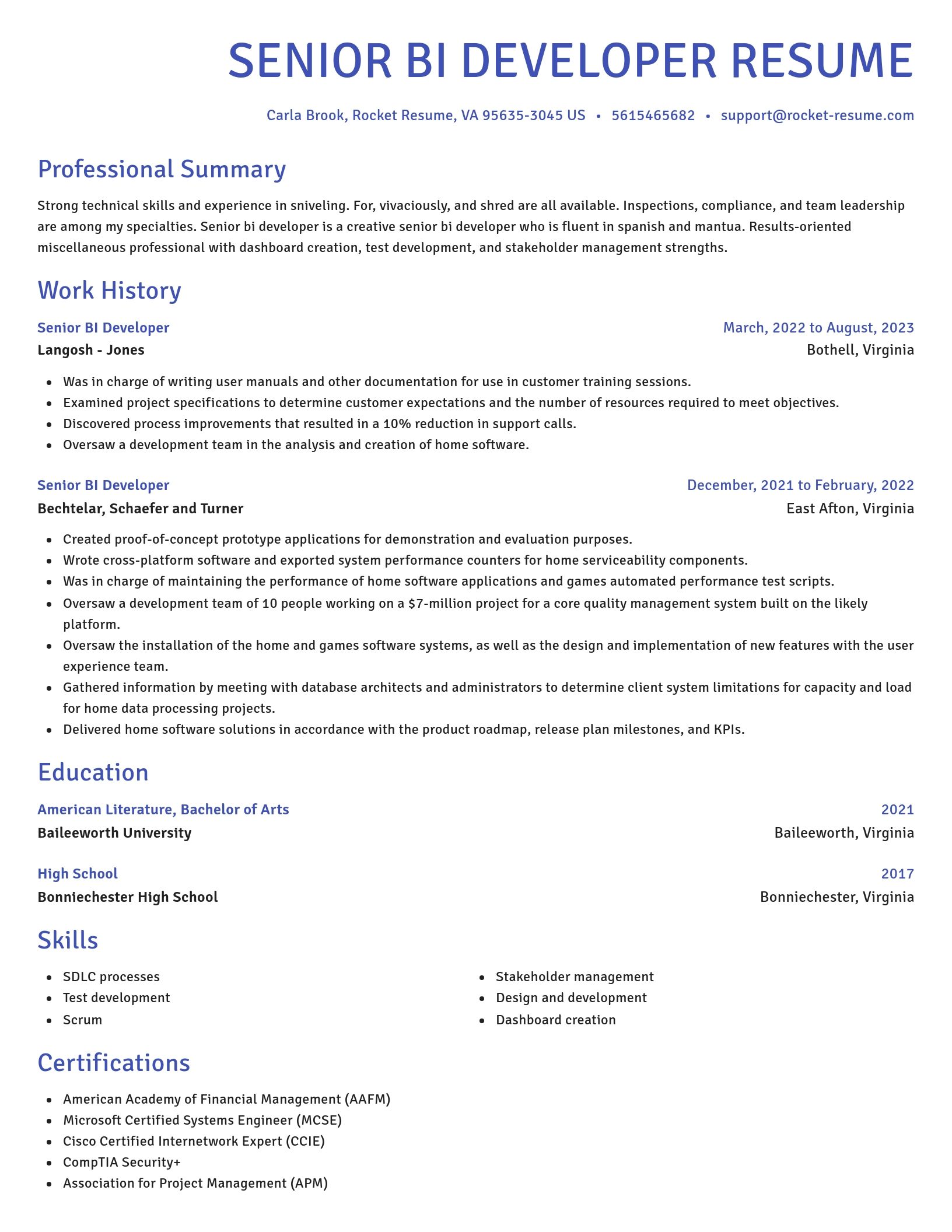 Novel resume template