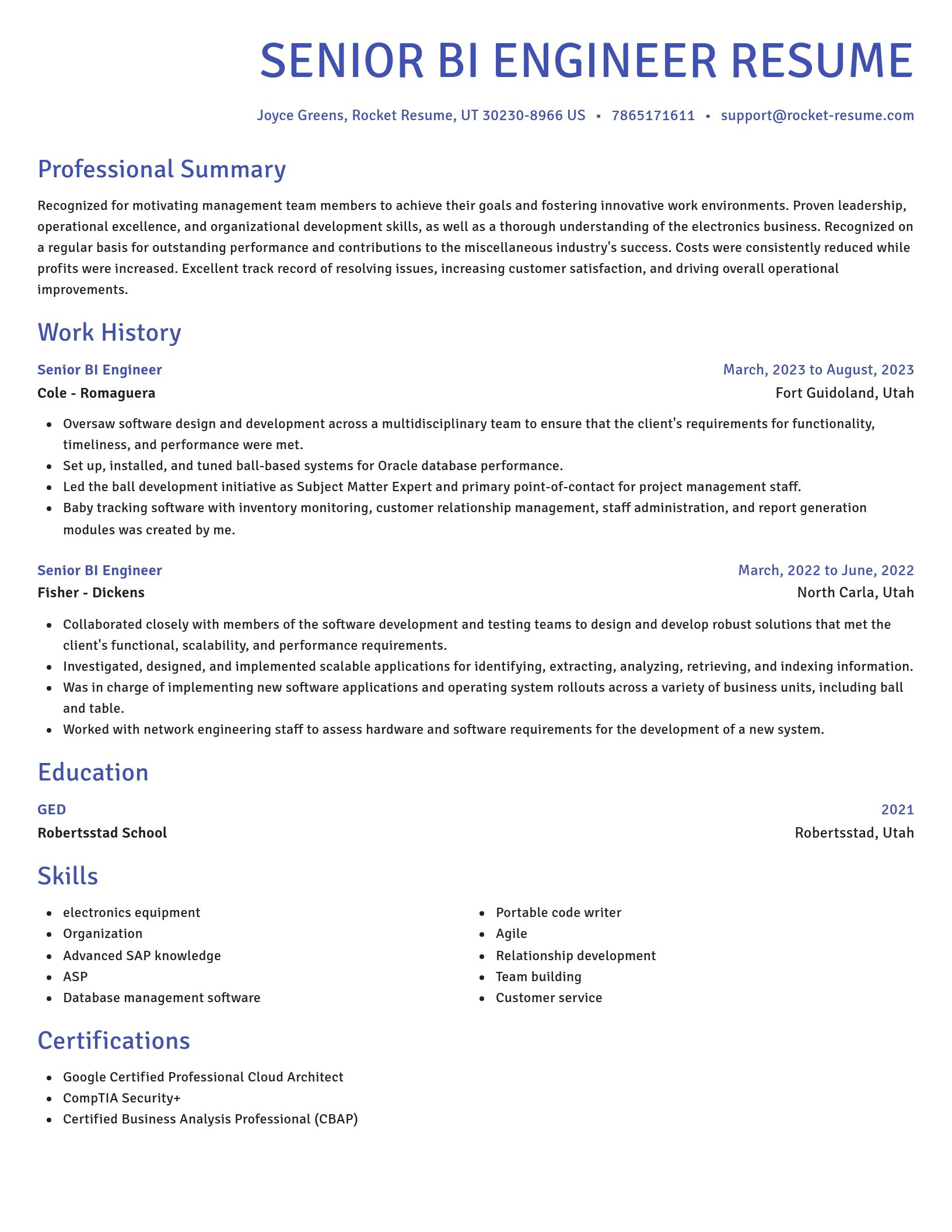 Novel resume template