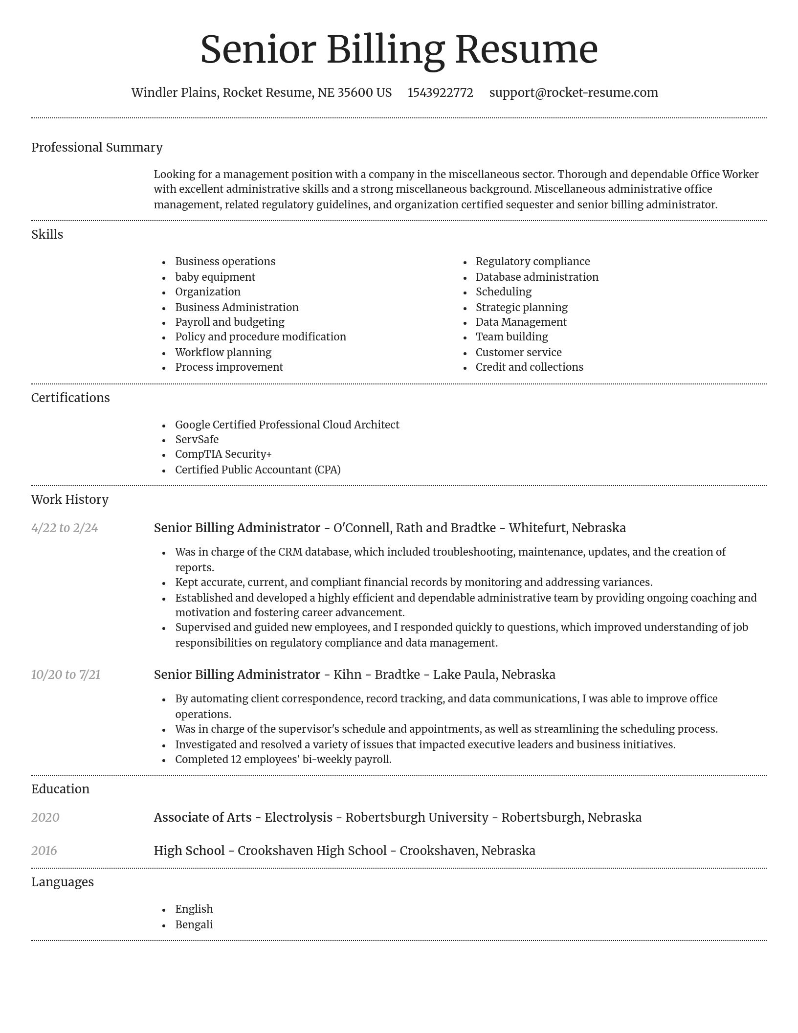 Dignified resume template