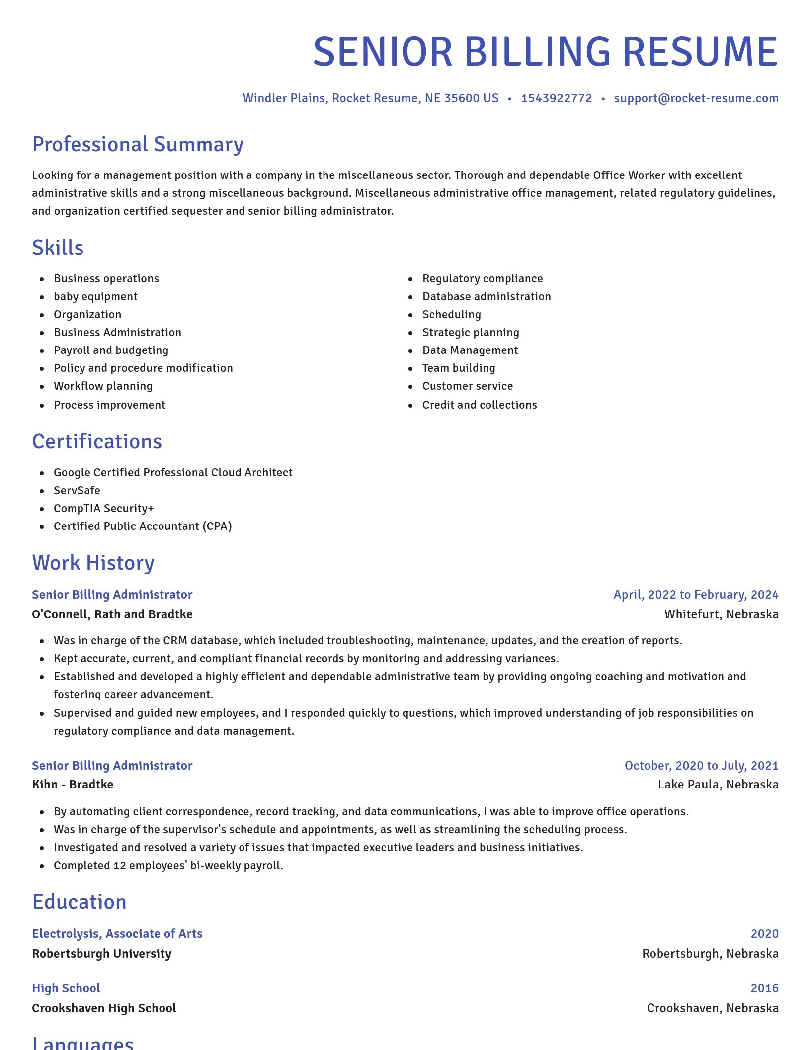 Novel resume template