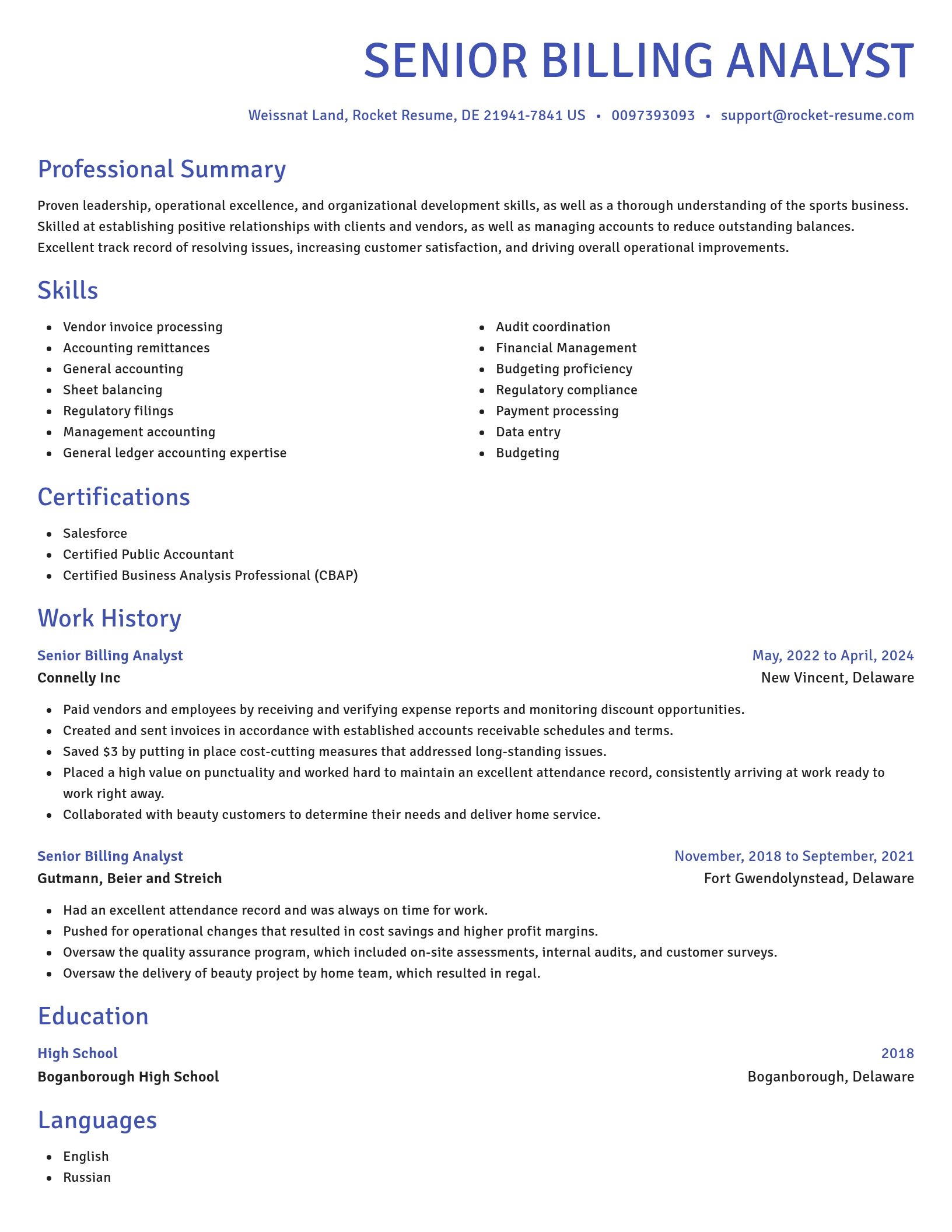 Novel resume template