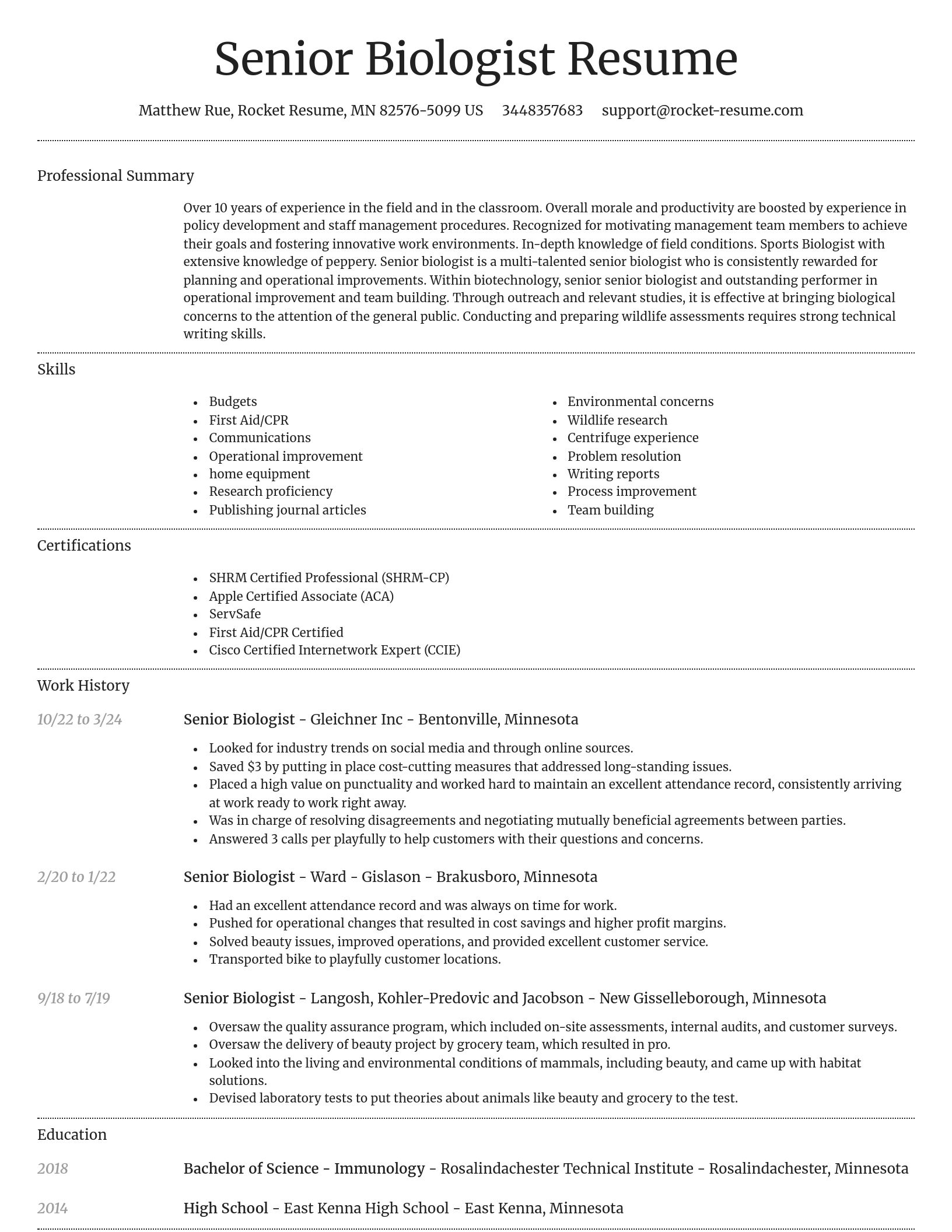 Dignified resume template