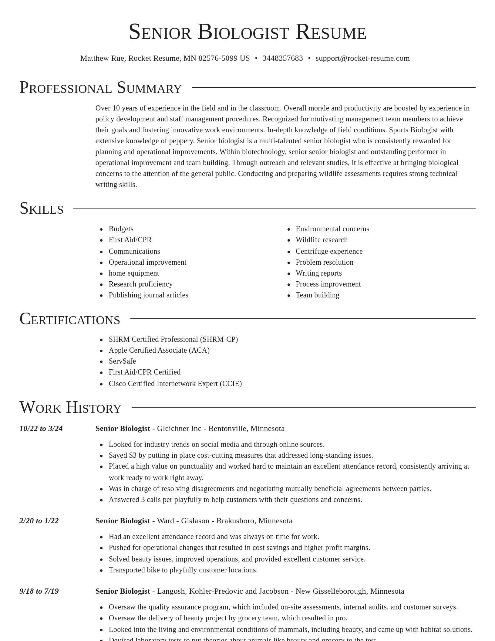Director resume template