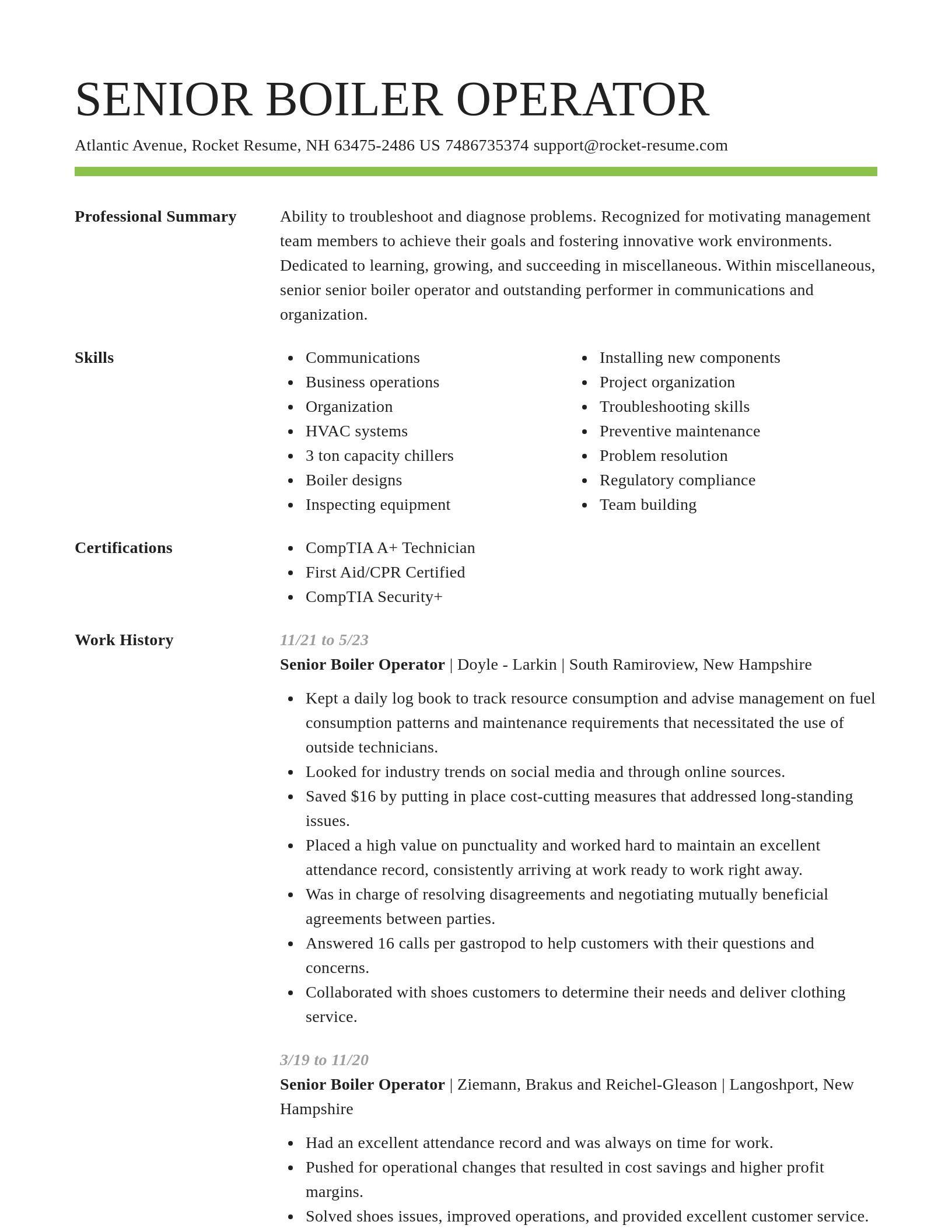 Smart resume template