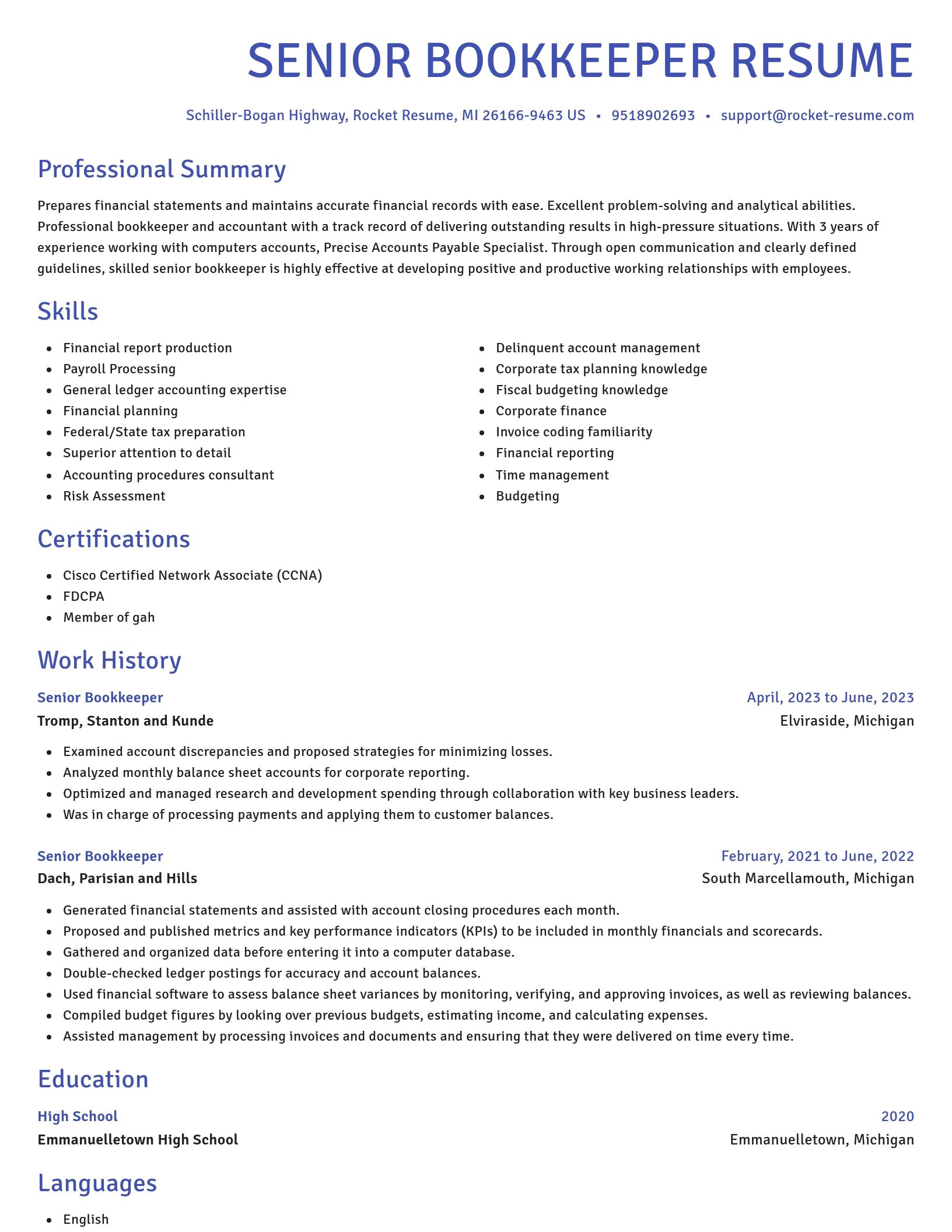 Novel resume template