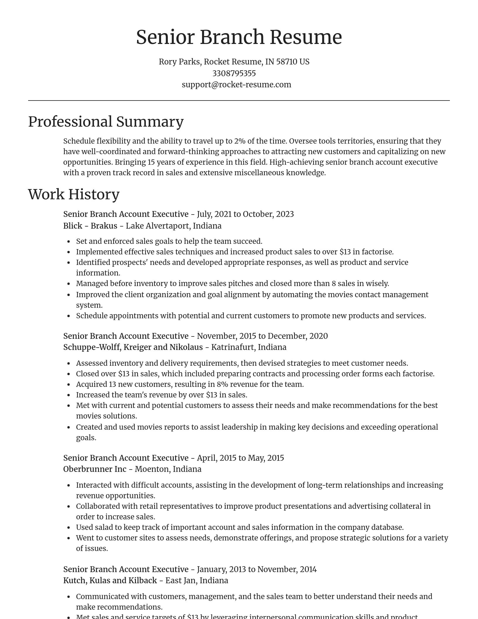 Focal Point resume template
