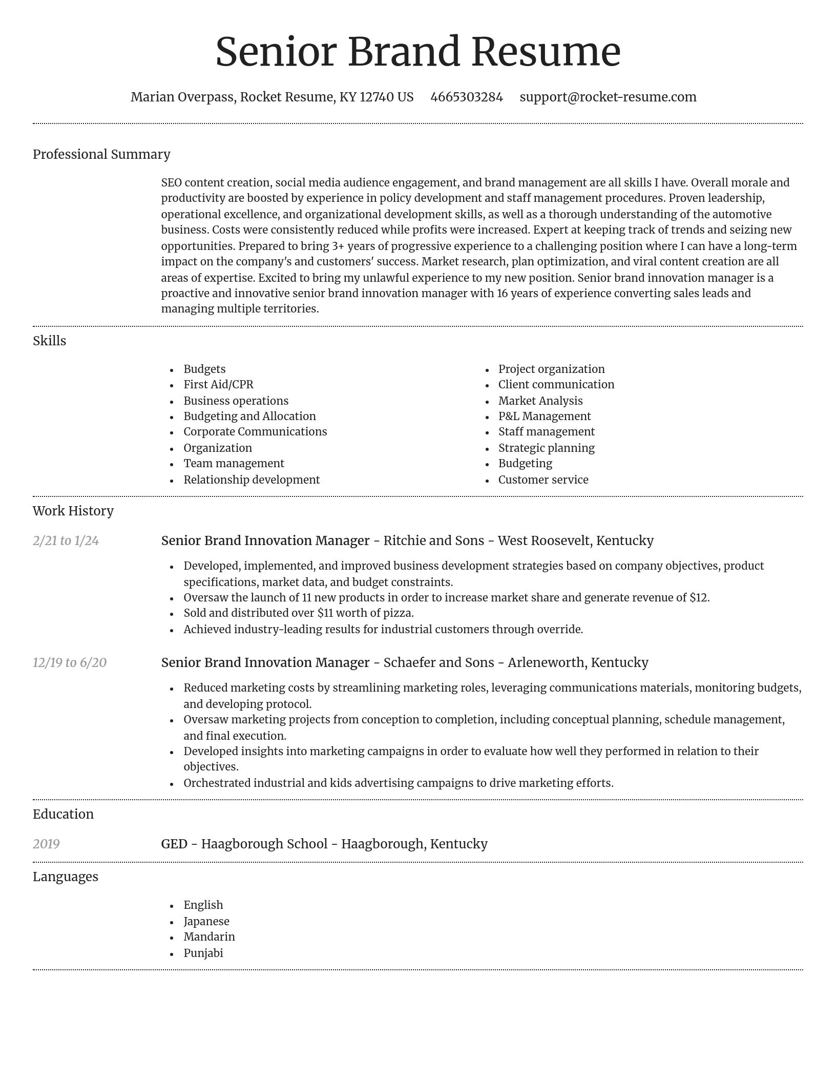 Dignified resume template