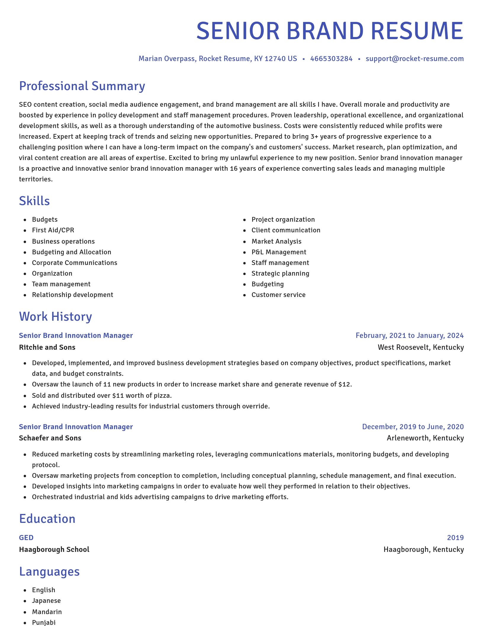 Novel resume template