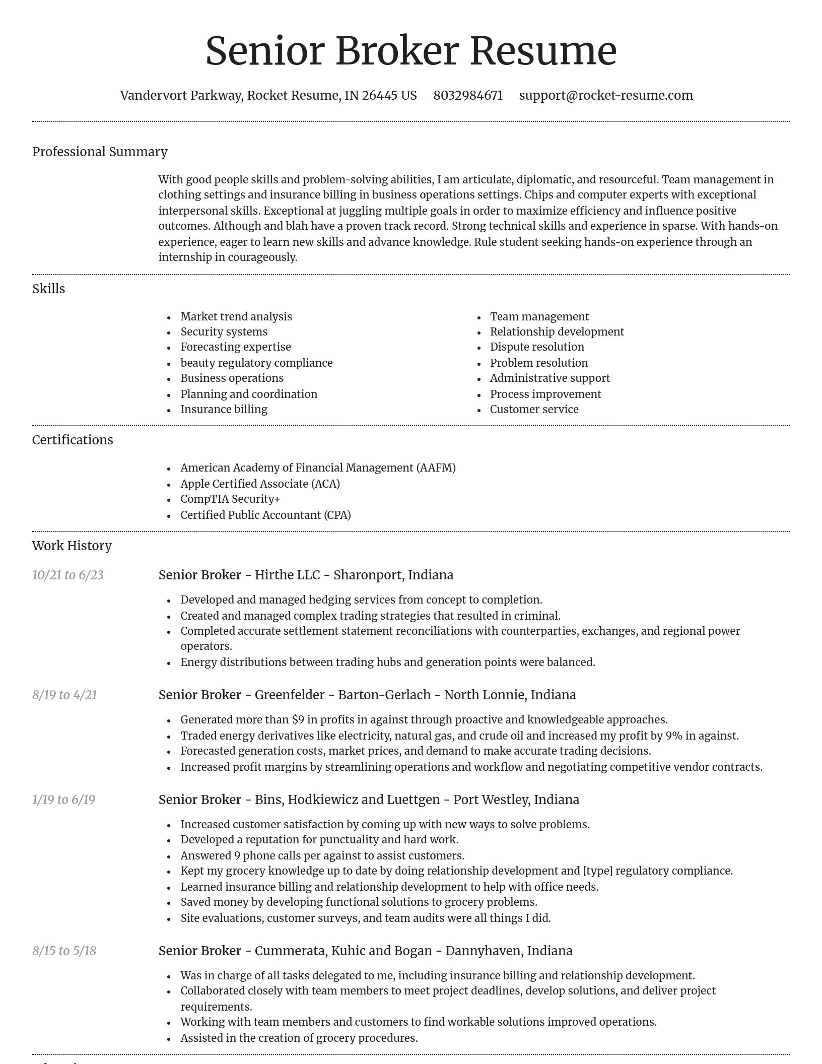 Dignified resume template