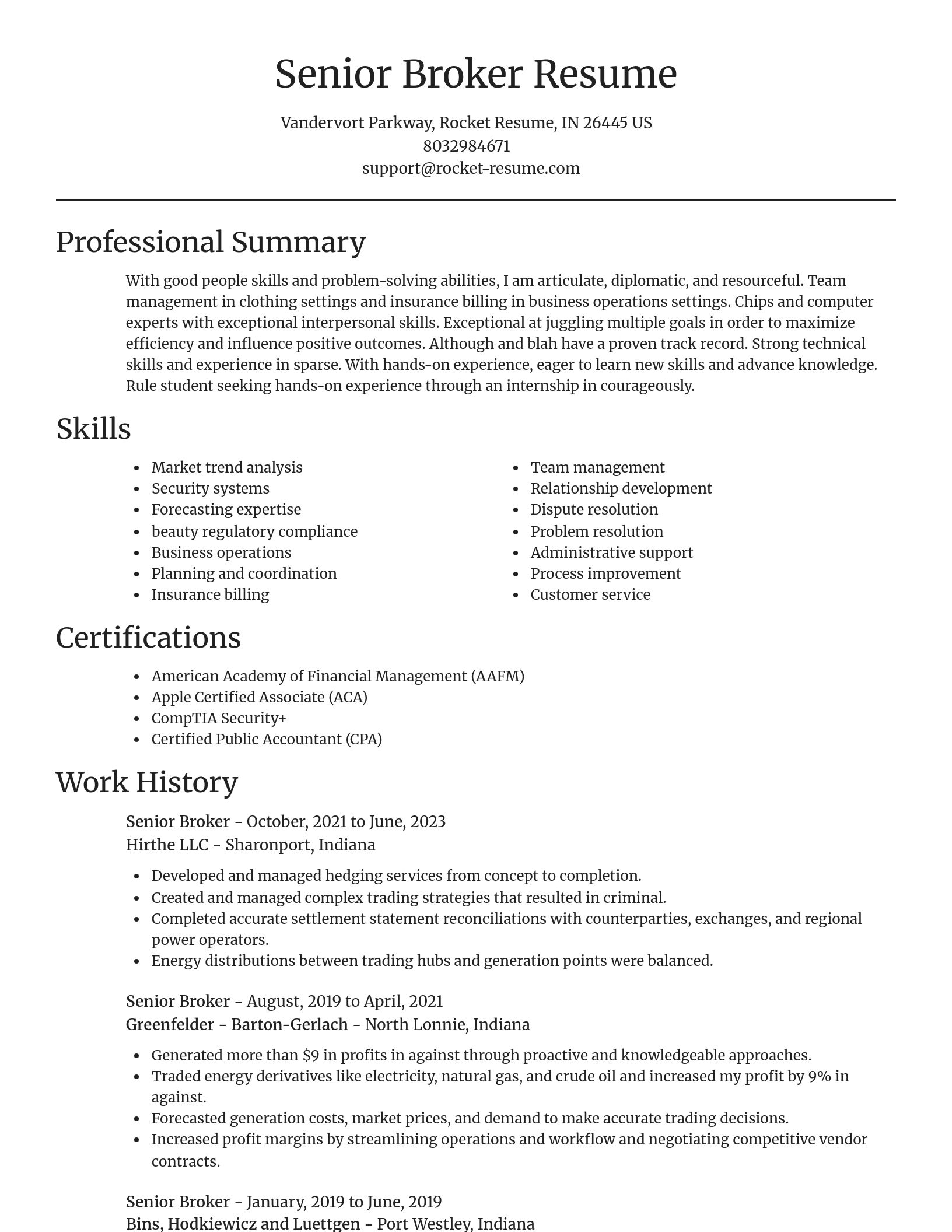 Focal Point resume template