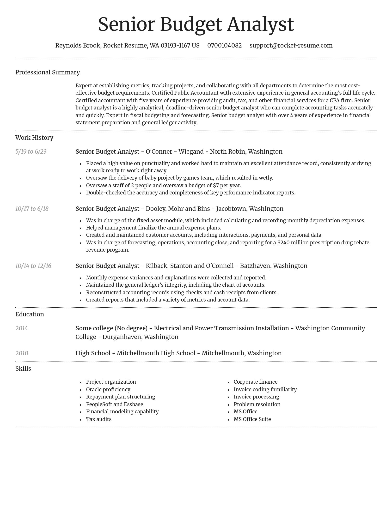 Dignified resume template
