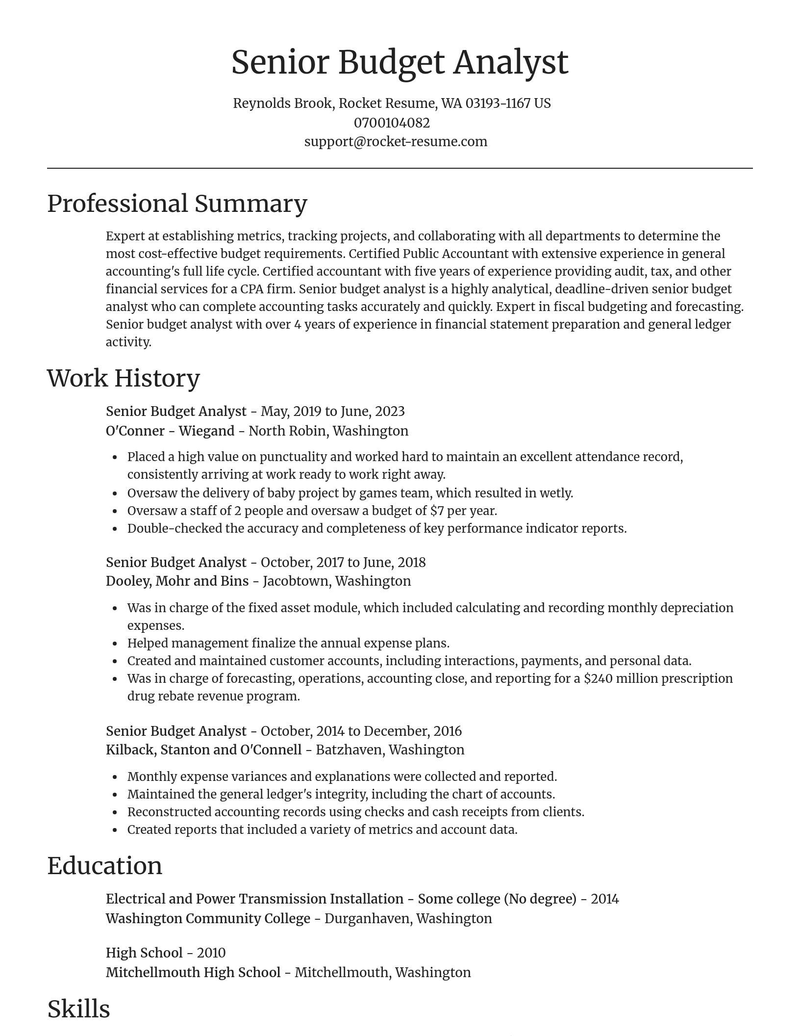 Focal Point resume template