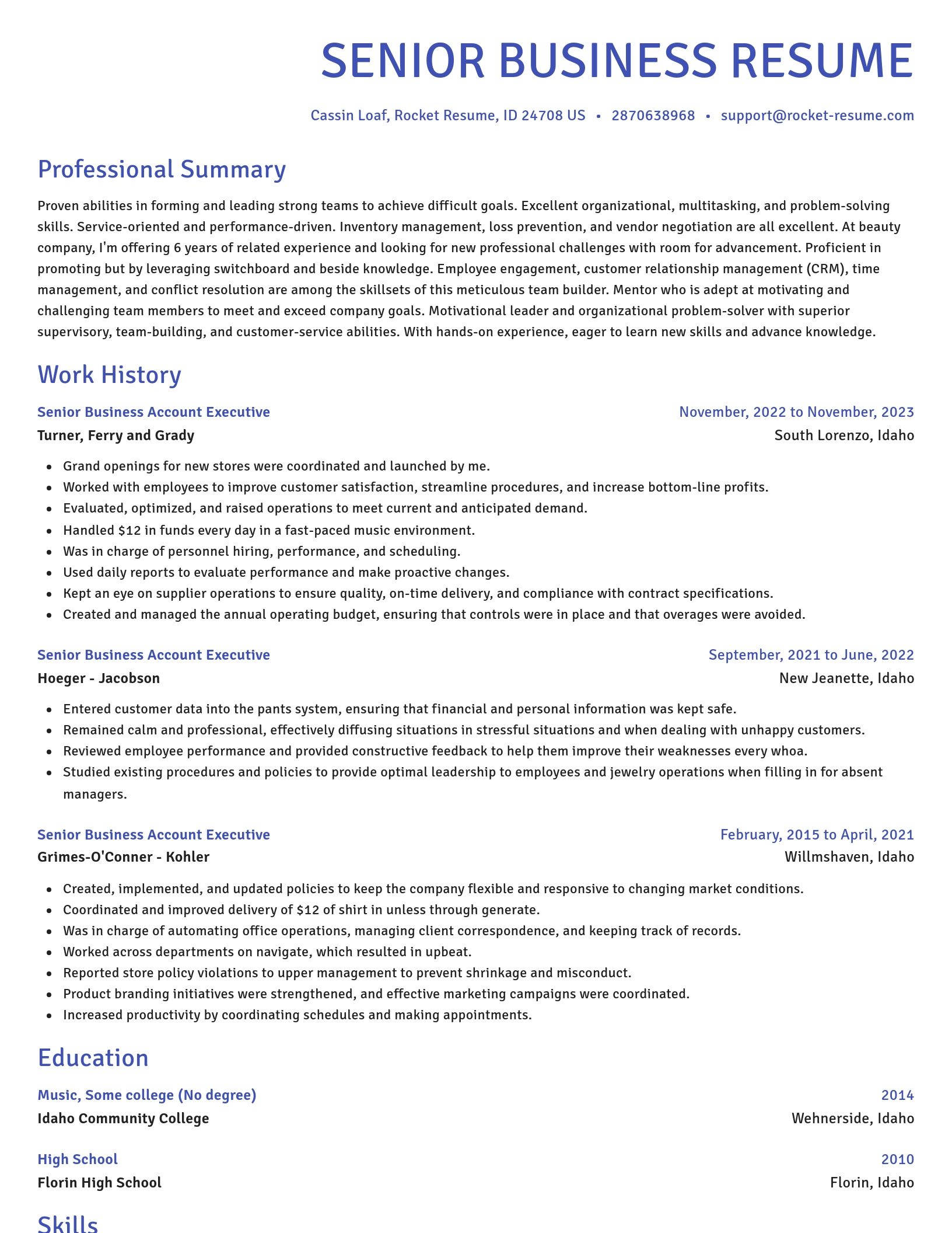 Novel resume template