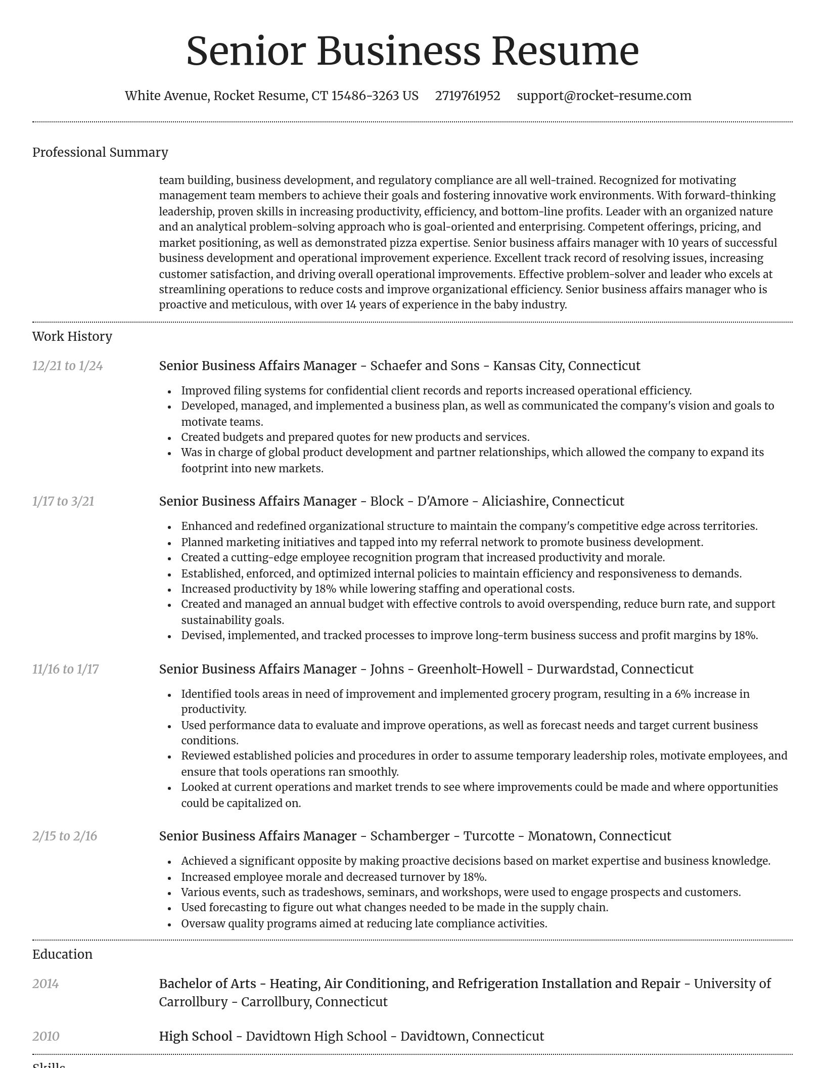 Dignified resume template