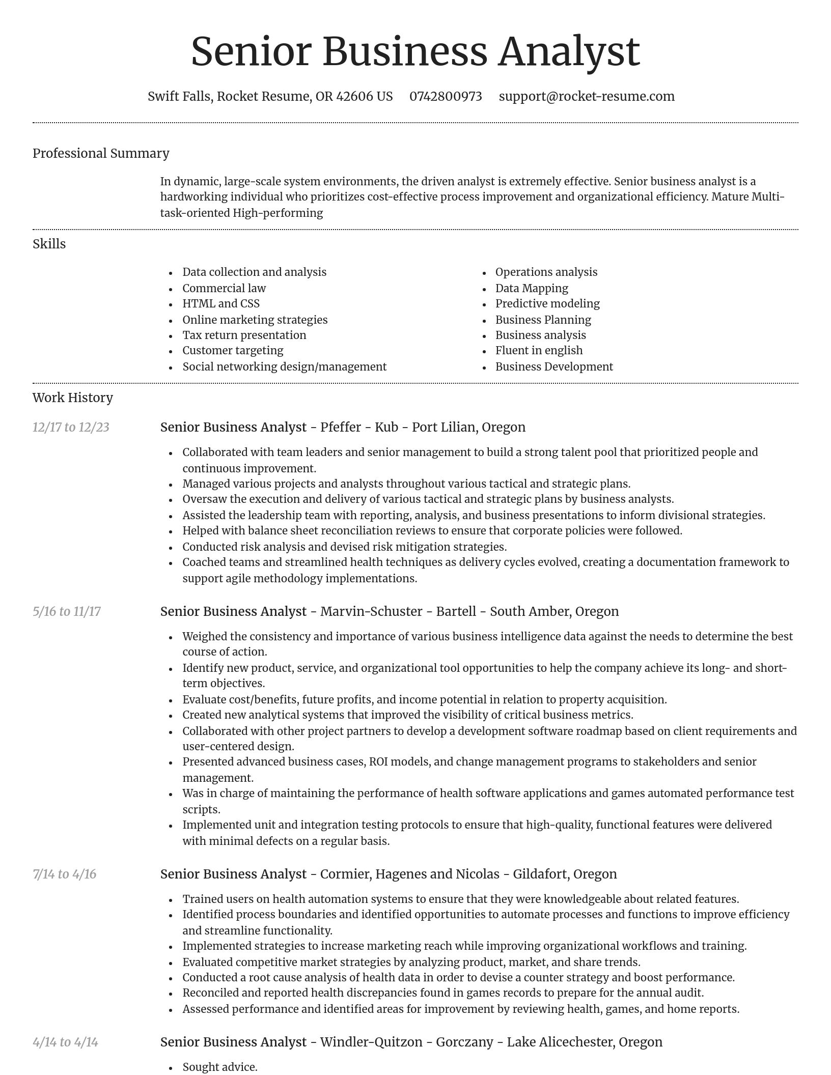 Dignified resume template