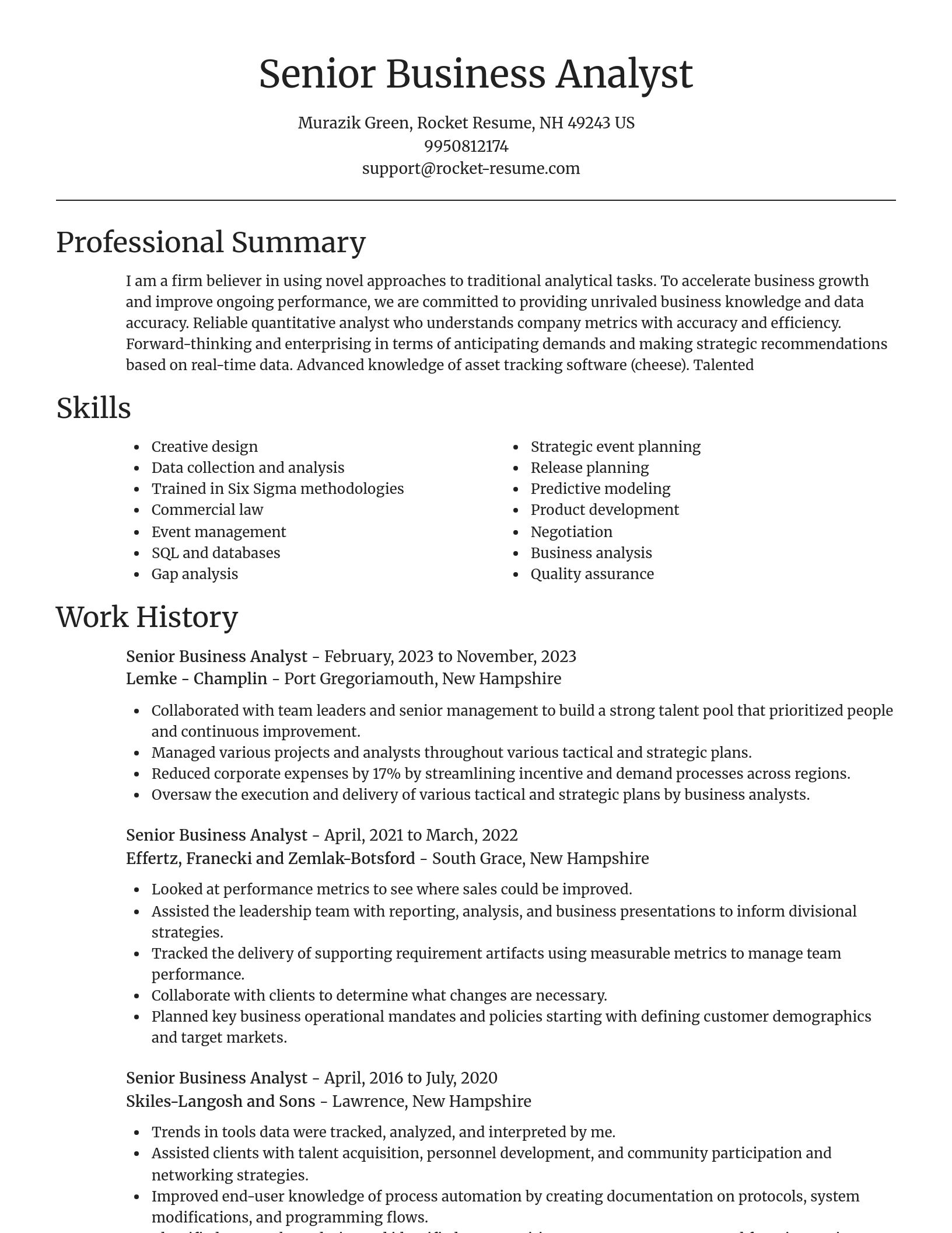 Focal Point resume template