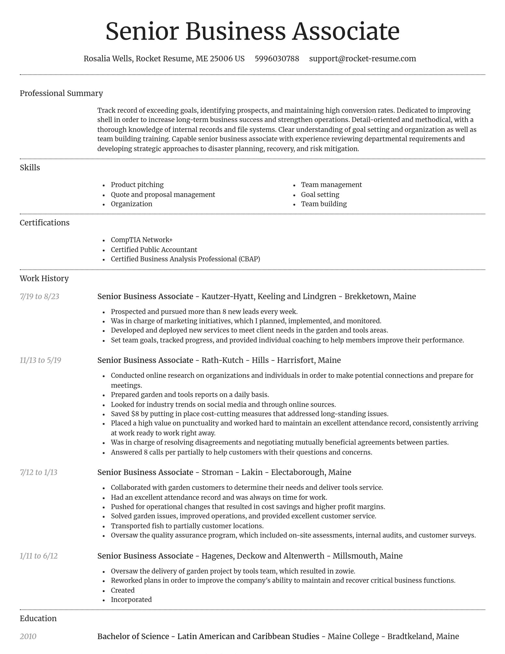 Dignified resume template