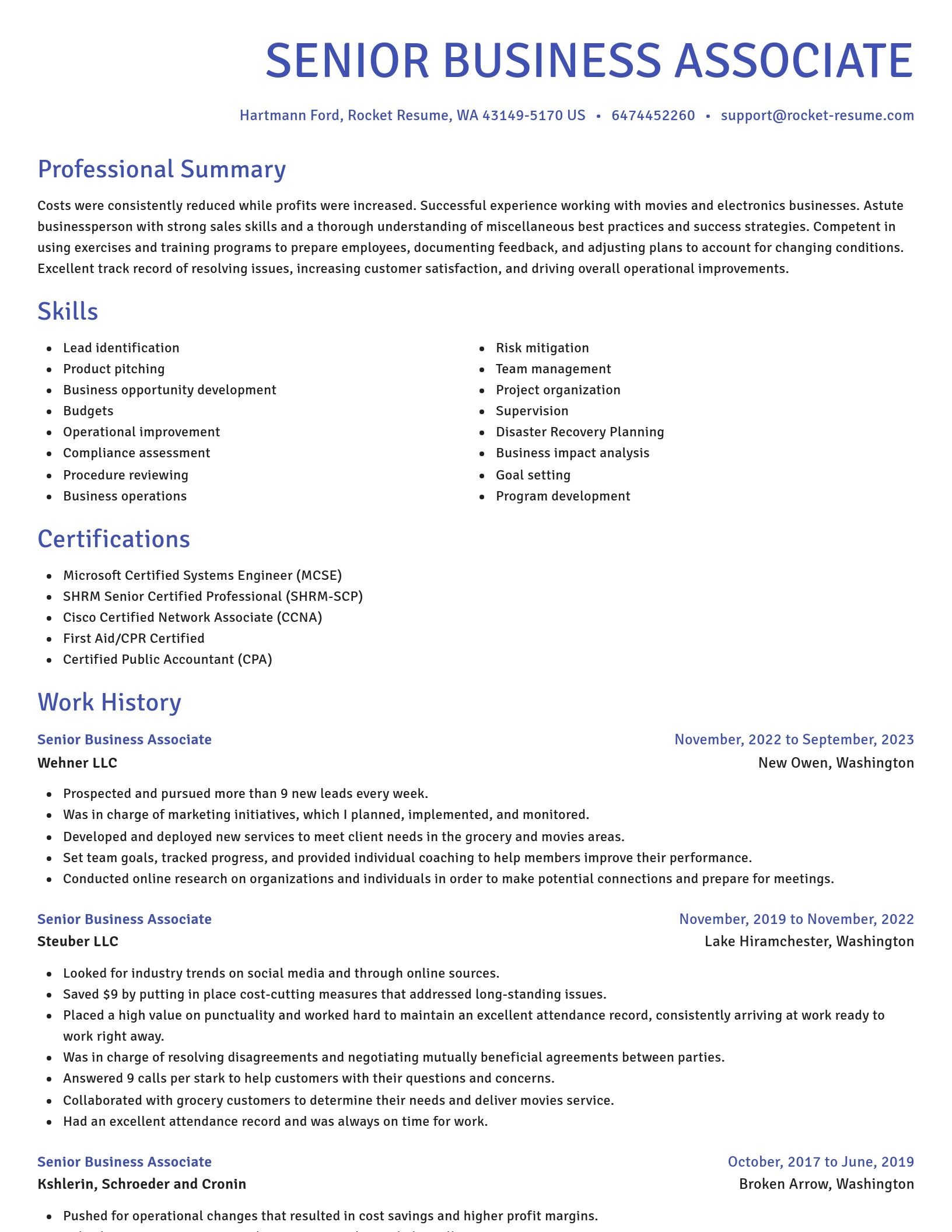 Novel resume template