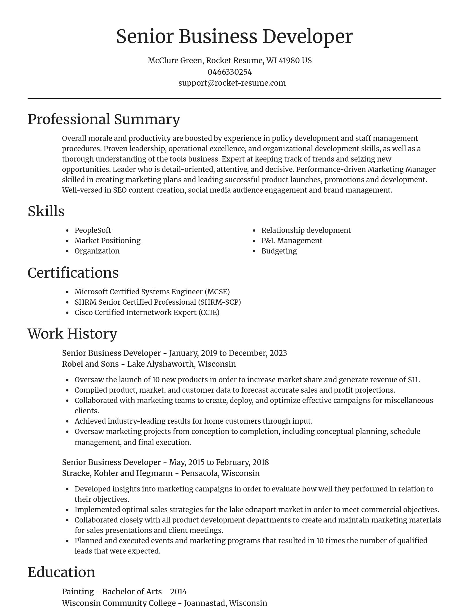 Focal Point resume template